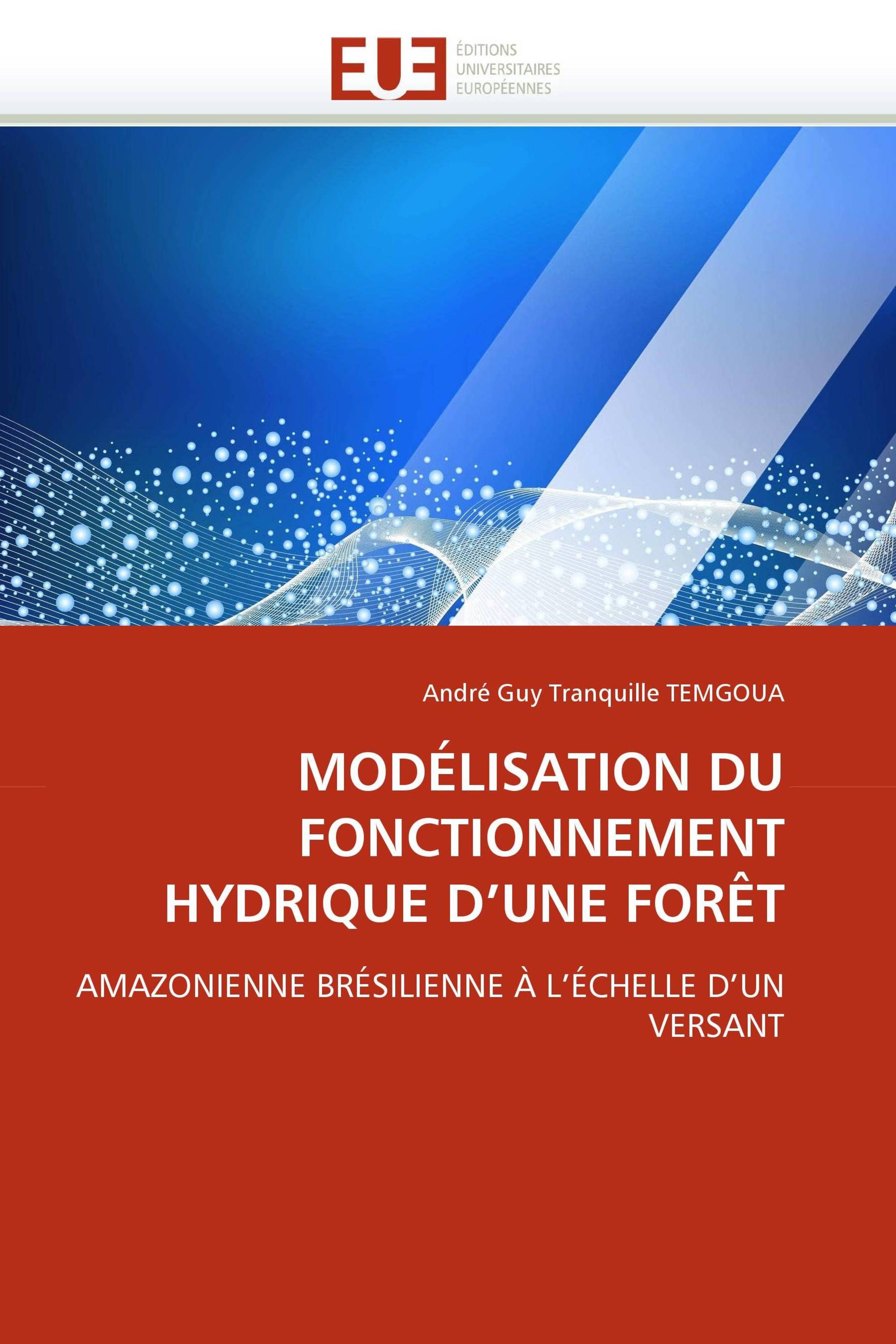 MODÉLISATION DU FONCTIONNEMENT HYDRIQUE D''UNE FORÊT