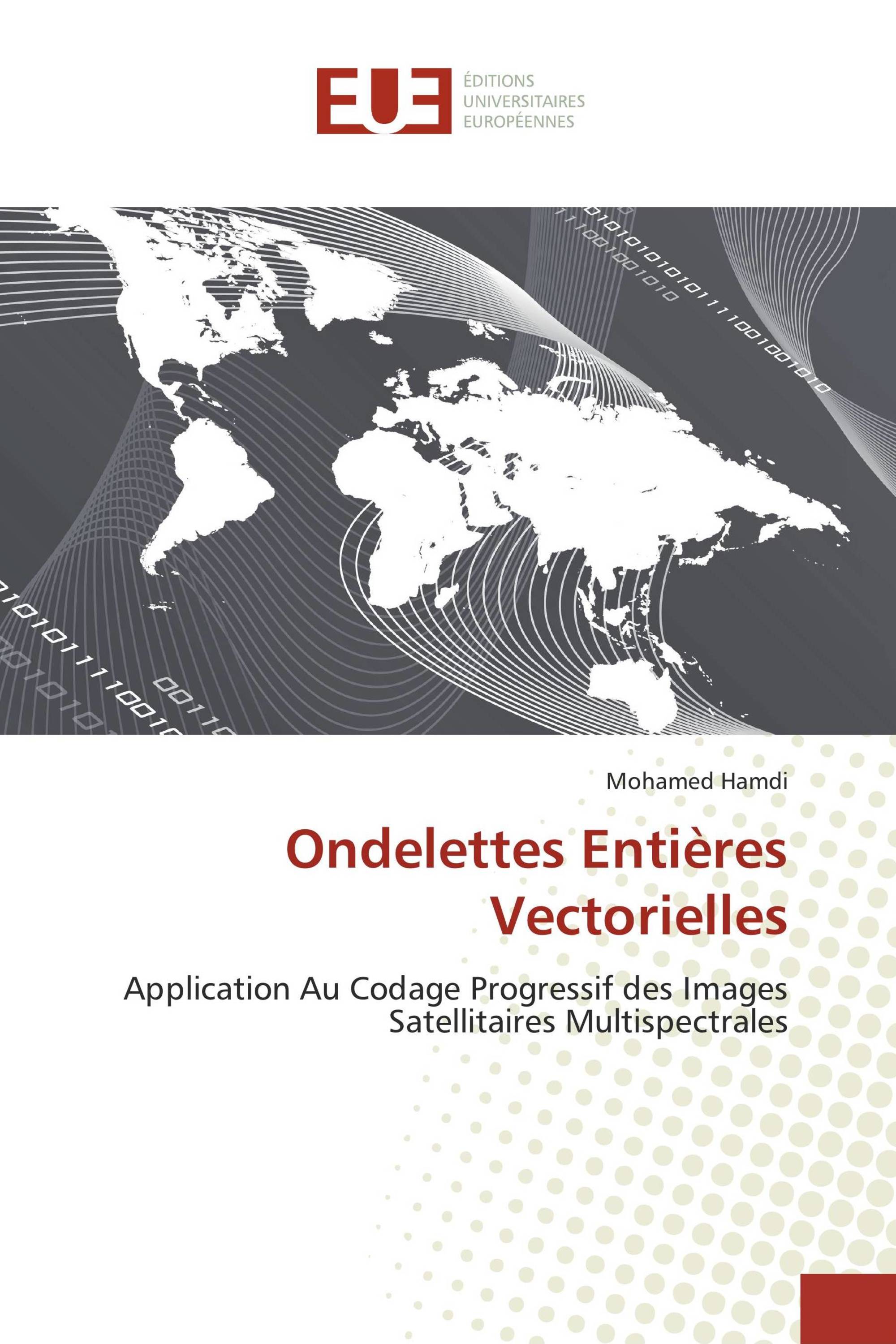 Ondelettes Entières Vectorielles