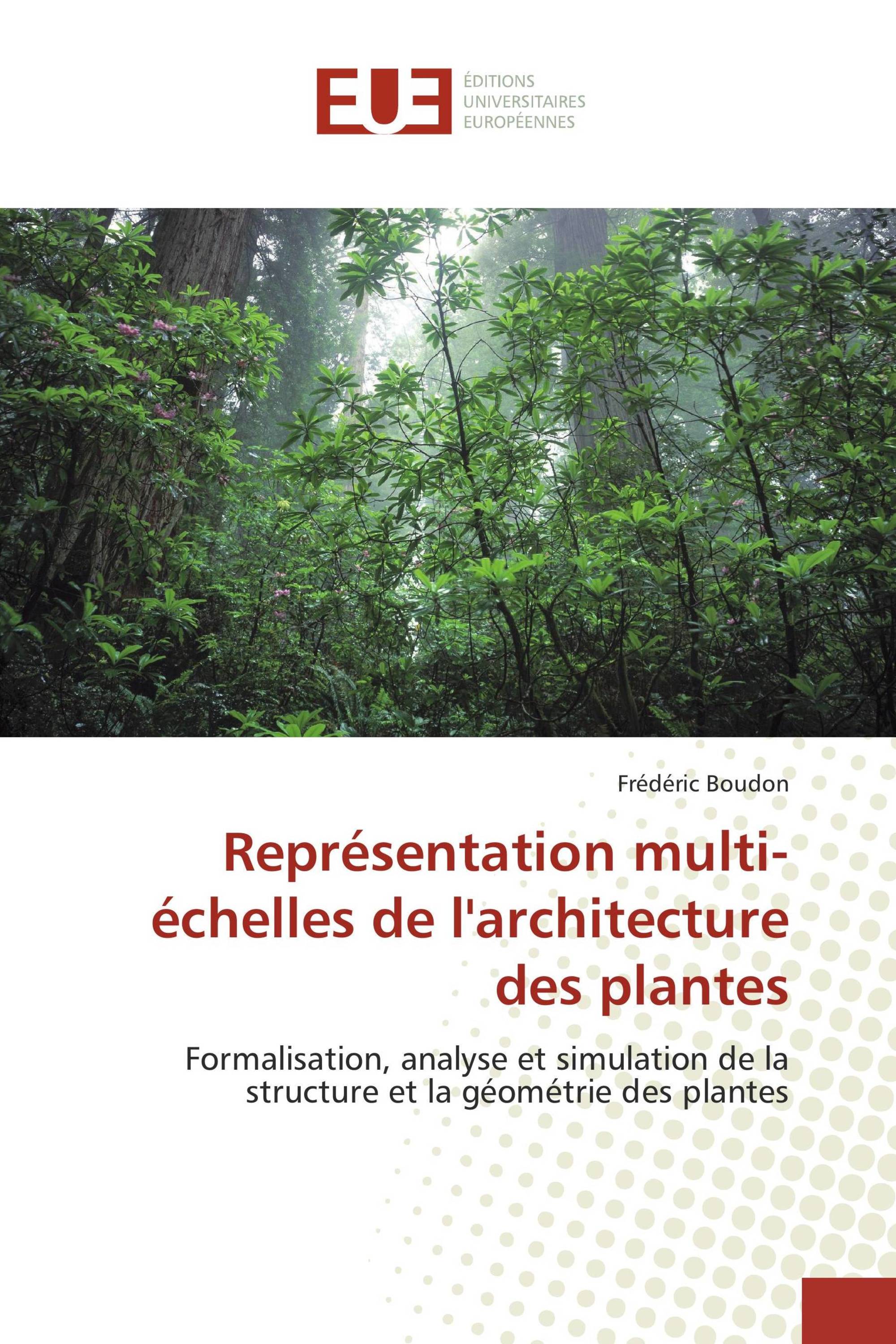 Représentation multi-échelles de l'architecture des plantes