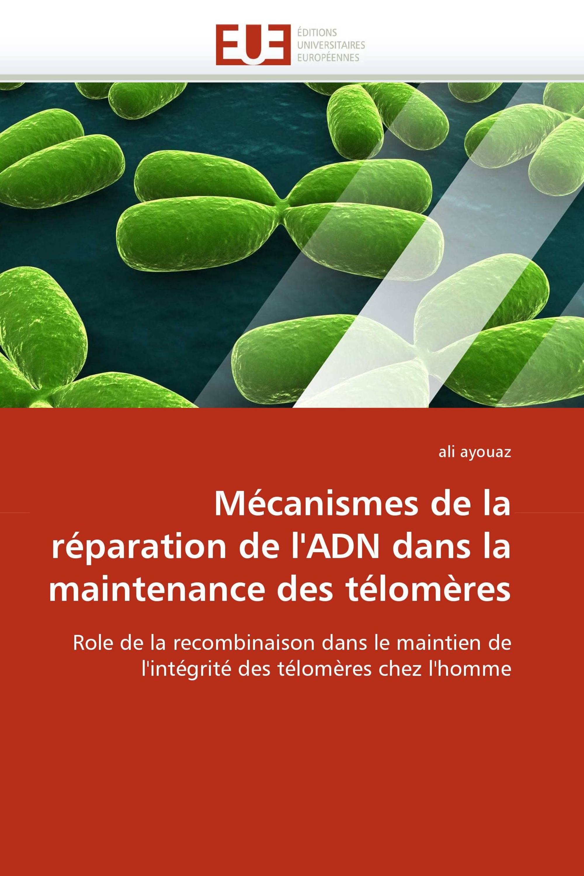 Mécanismes de la réparation de l''ADN dans la maintenance des télomères