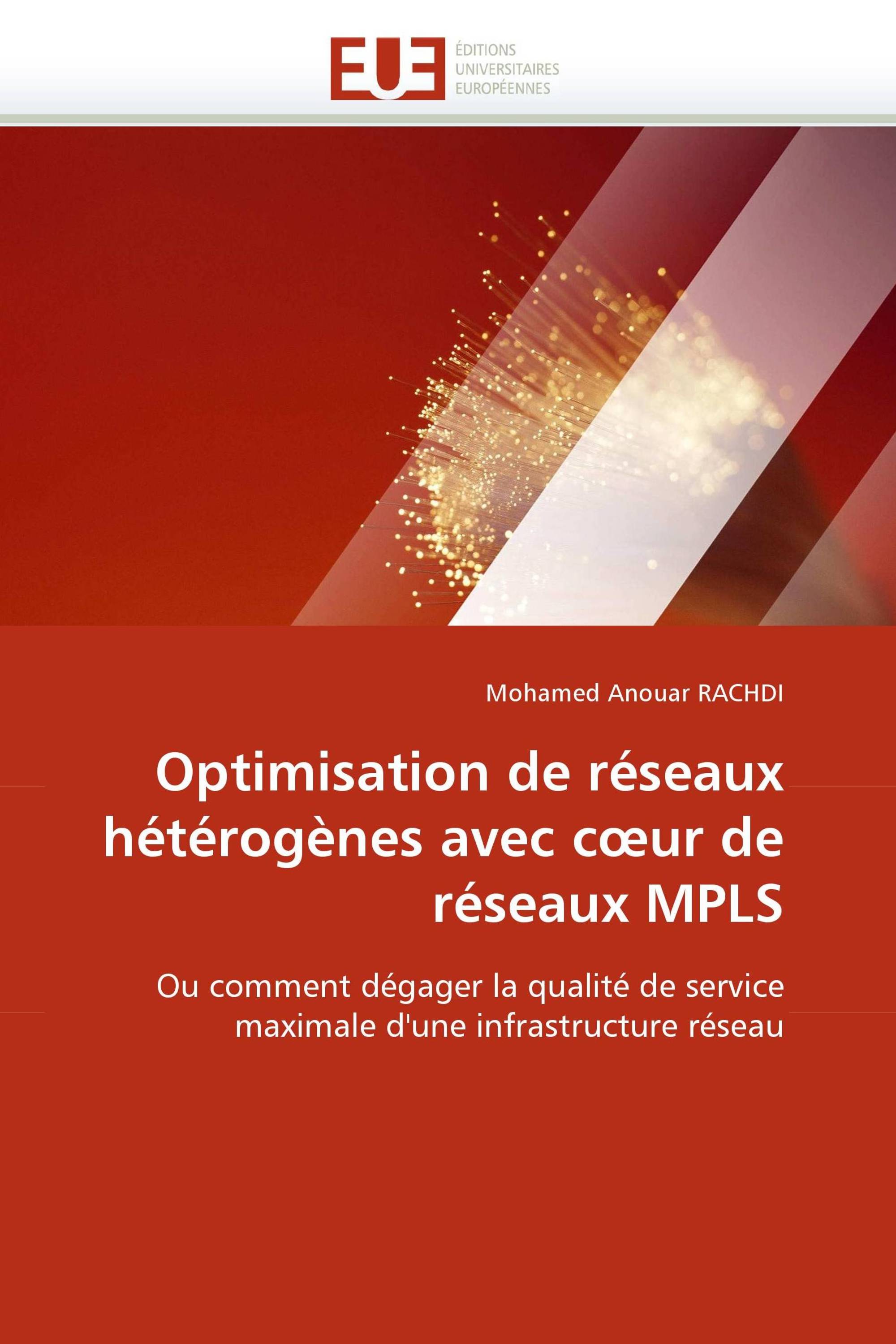 Optimisation de réseaux hétérogènes avec cœur de réseaux MPLS