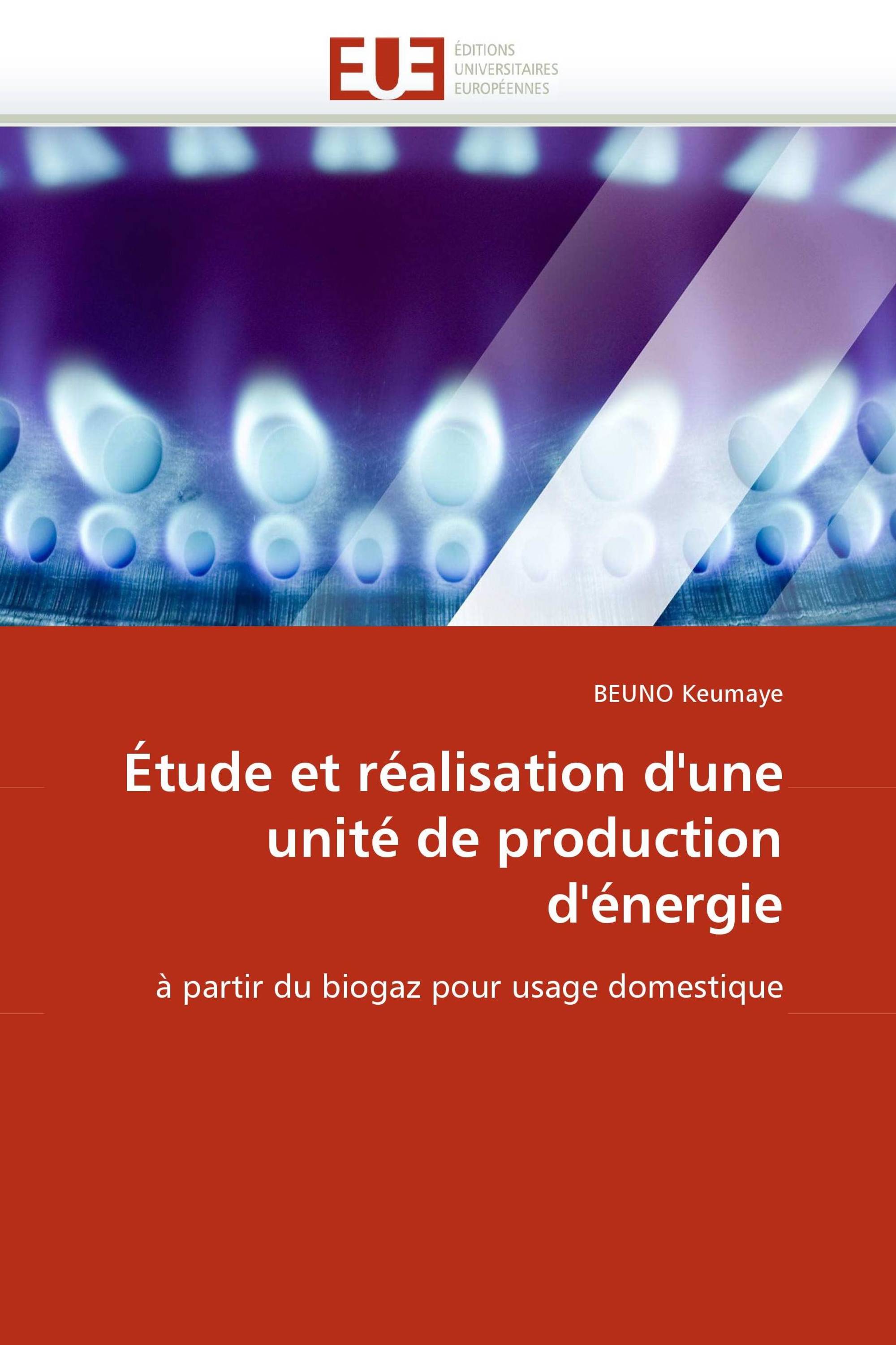 Étude et réalisation d'une unité de production d'énergie