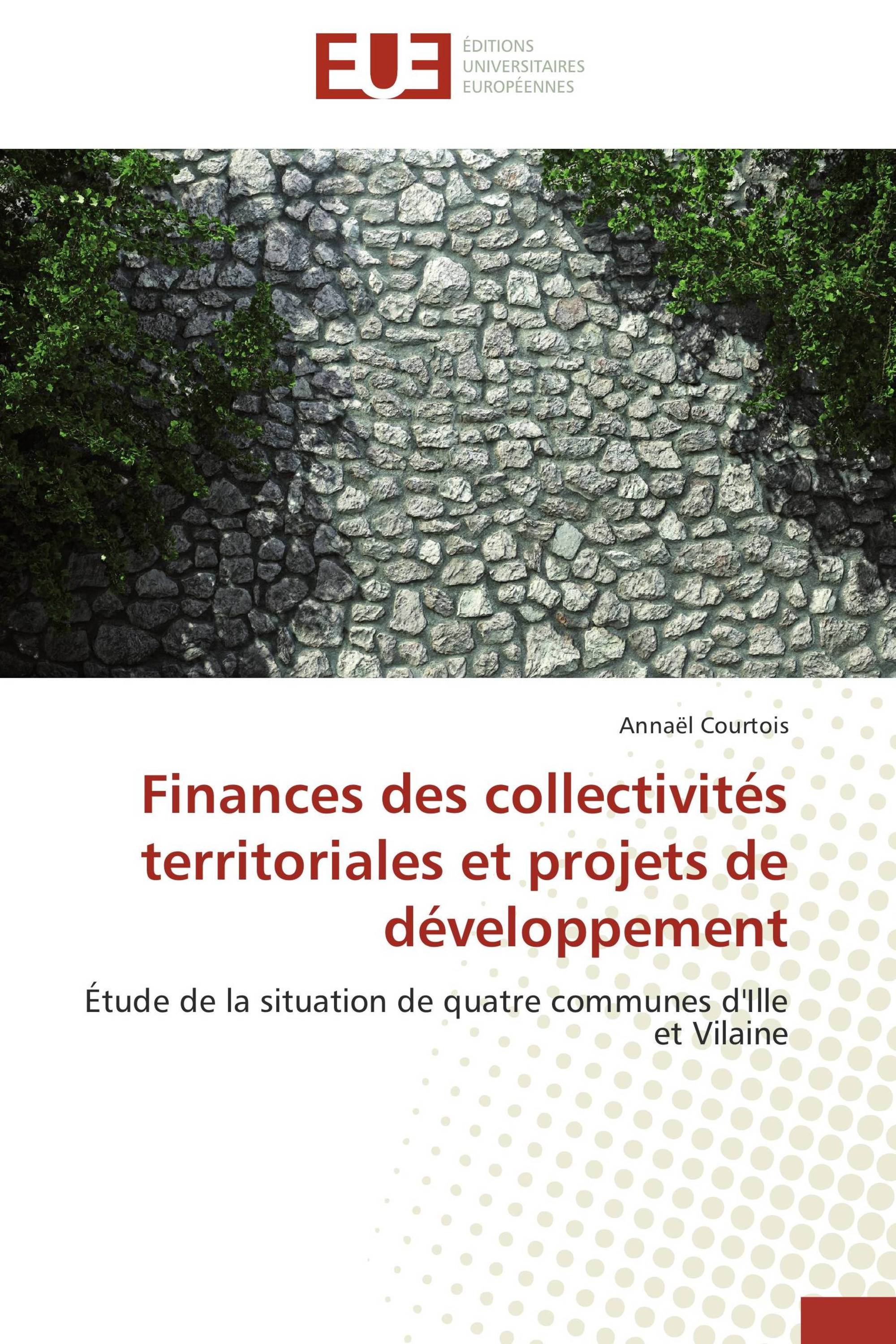 Finances des collectivités territoriales et projets de développement