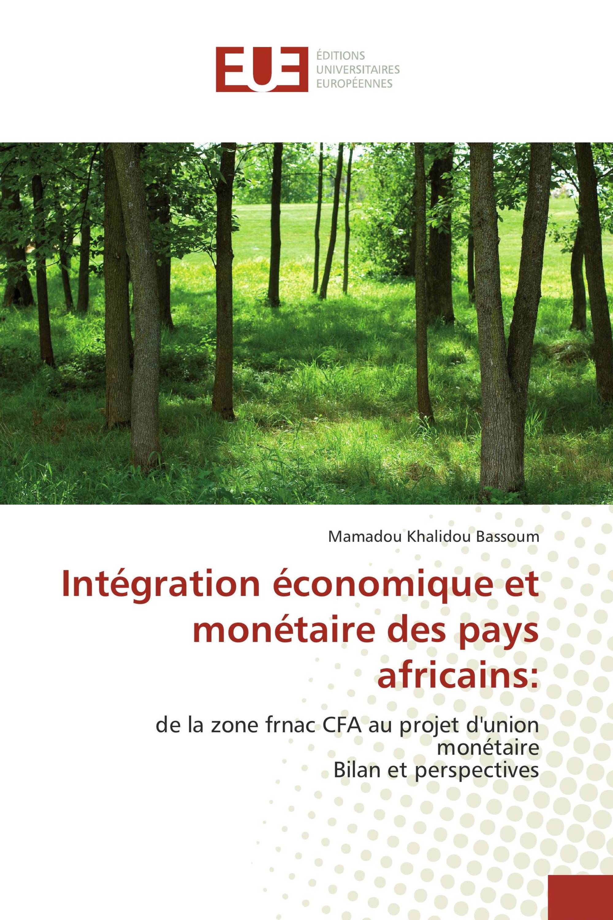 Intégration économique et monétaire des pays africains: