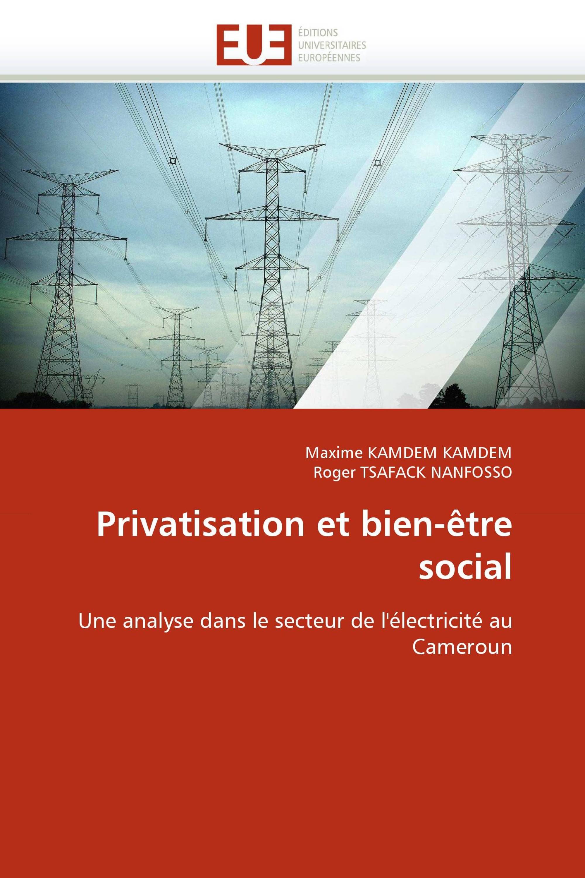 Privatisation et bien-être social