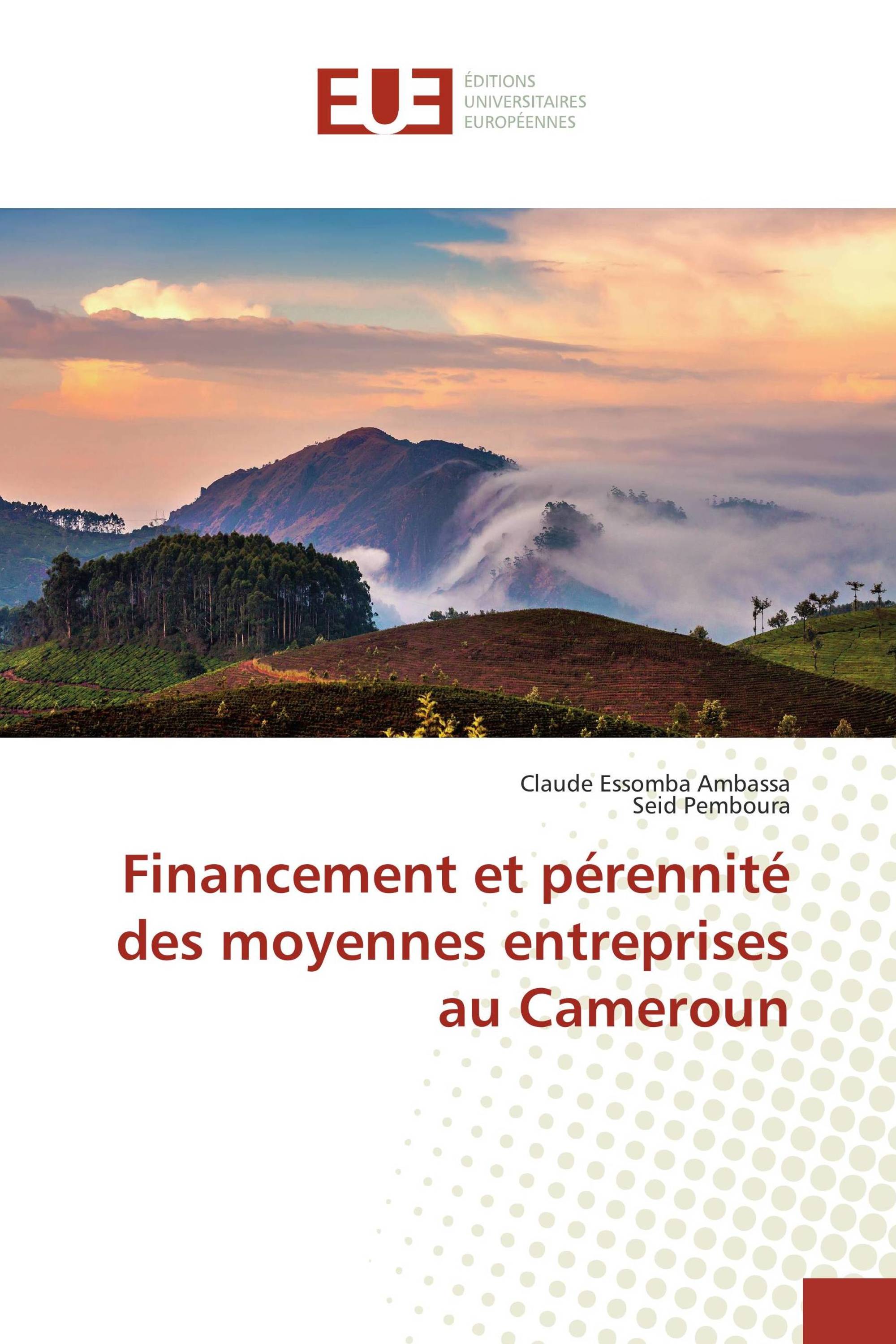 Financement et pérennité des moyennes entreprises au Cameroun