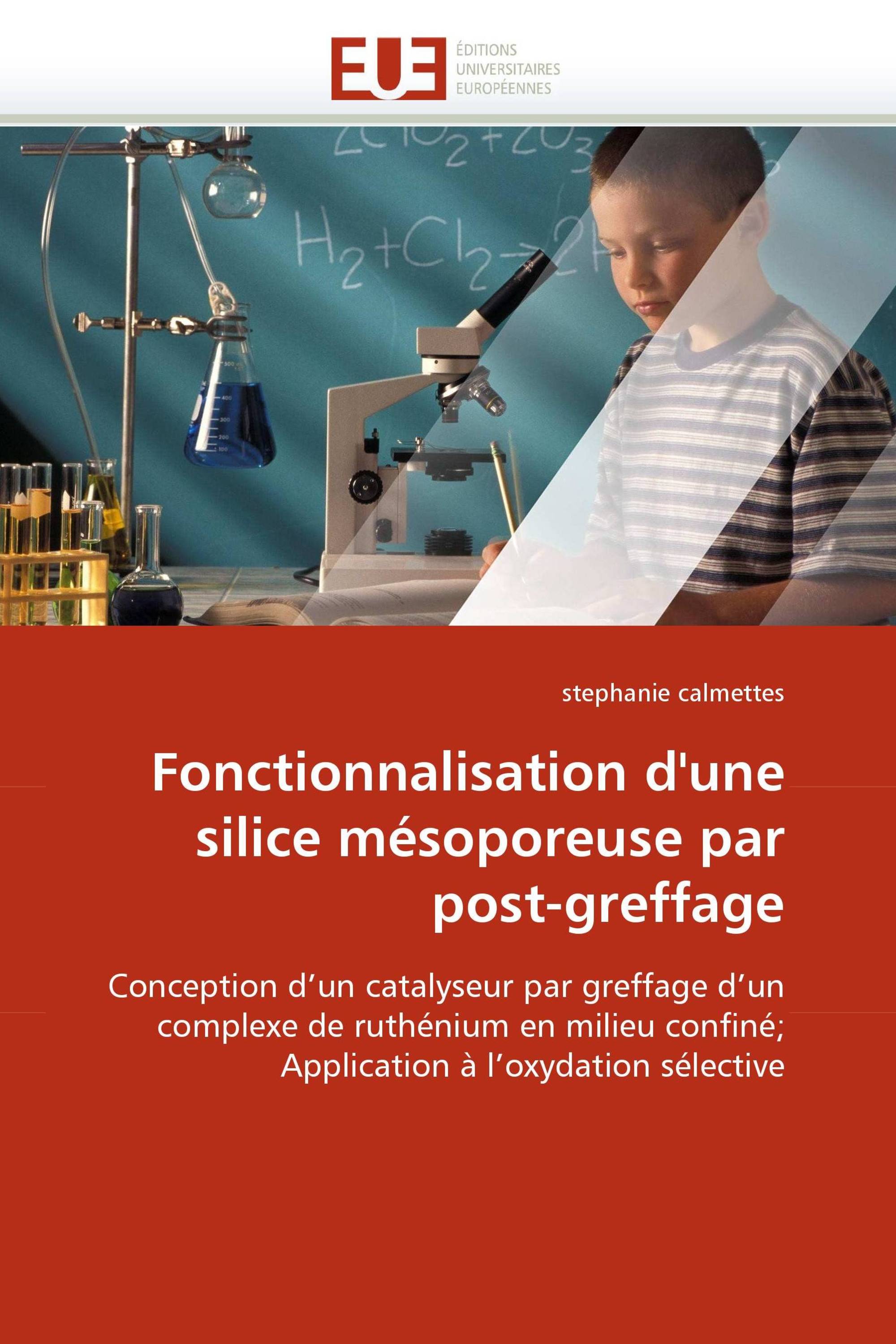 Fonctionnalisation d'une silice mésoporeuse par post-greffage