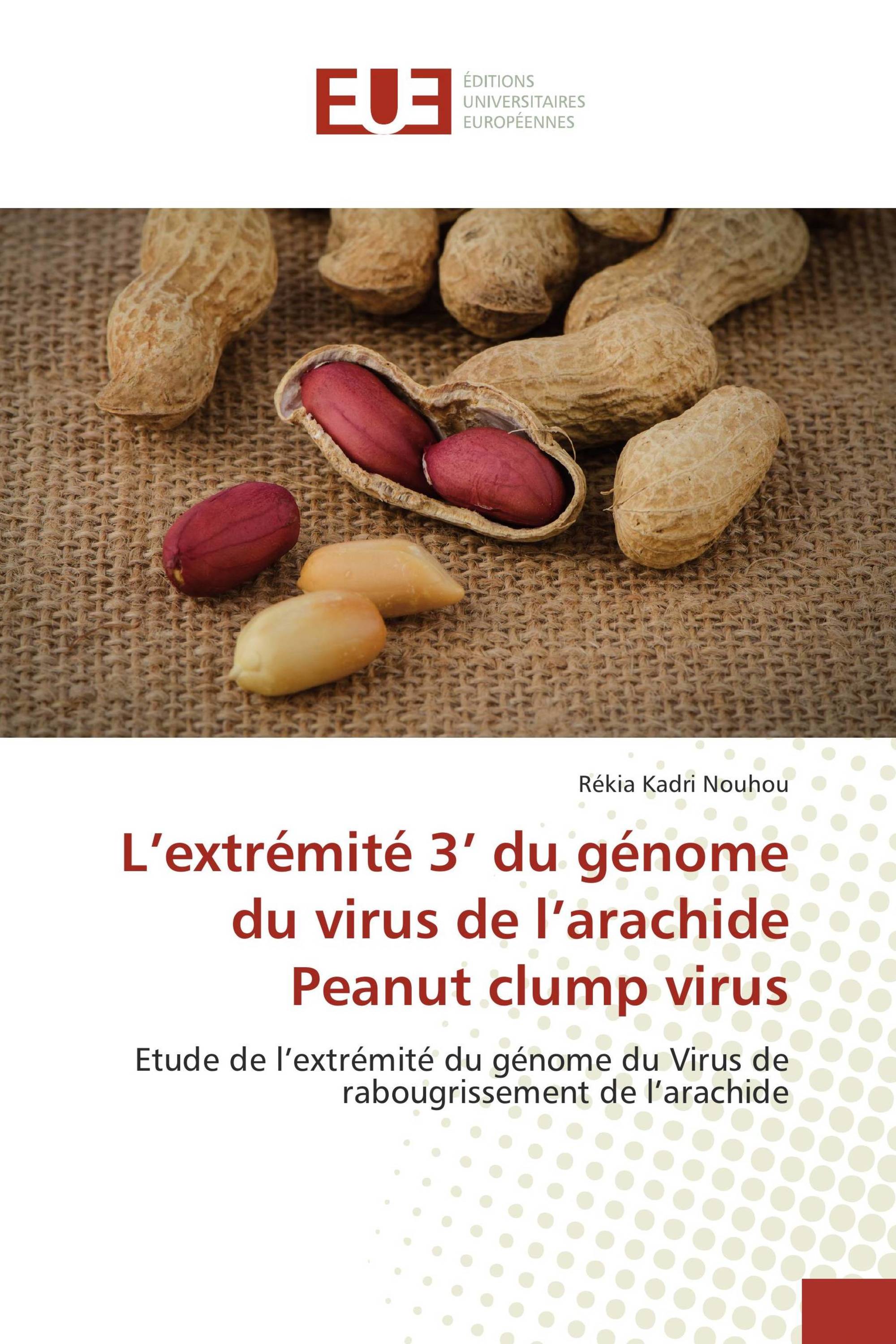 L’extrémité 3’ du génome du virus de l’arachide Peanut clump virus