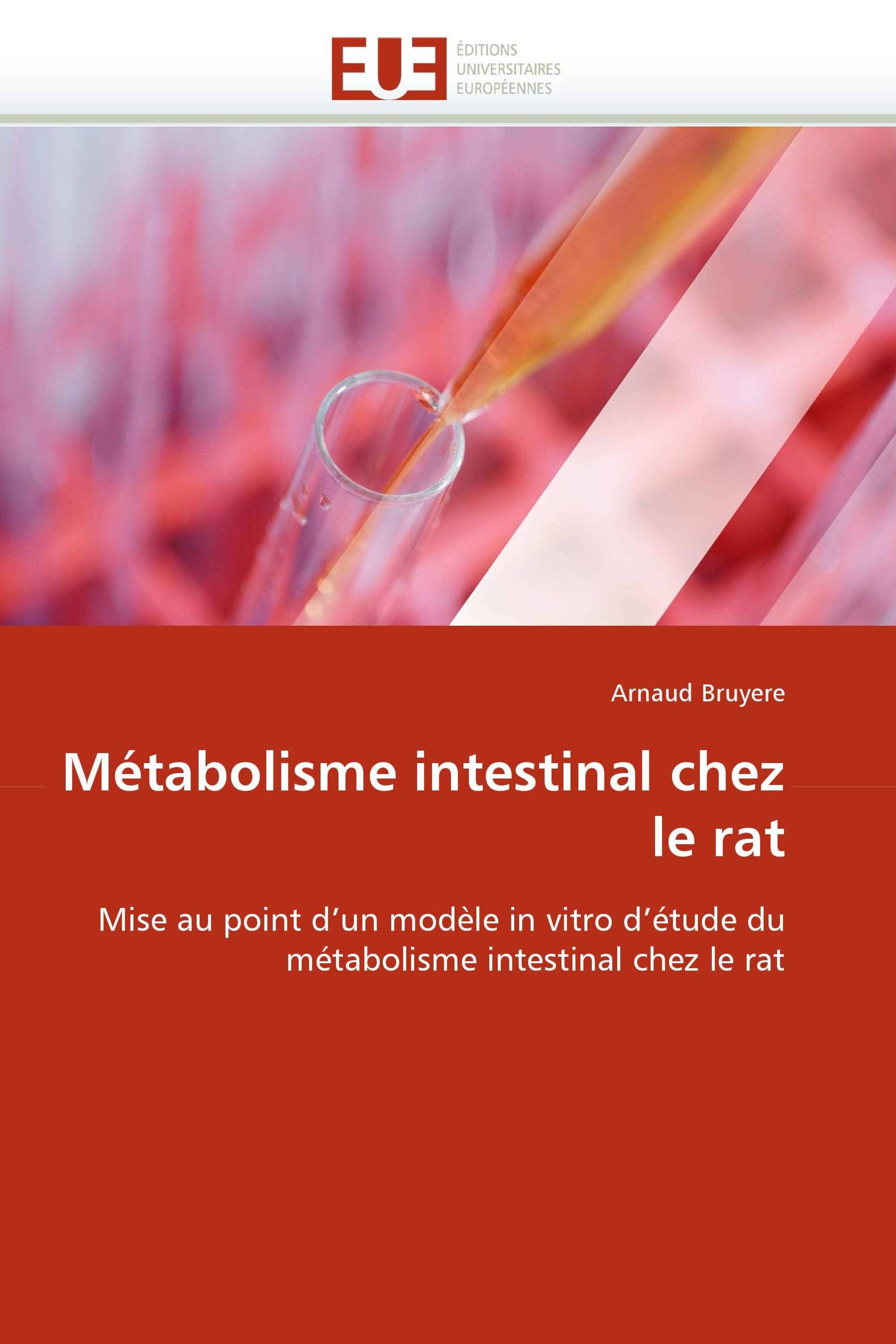 Métabolisme intestinal chez le rat