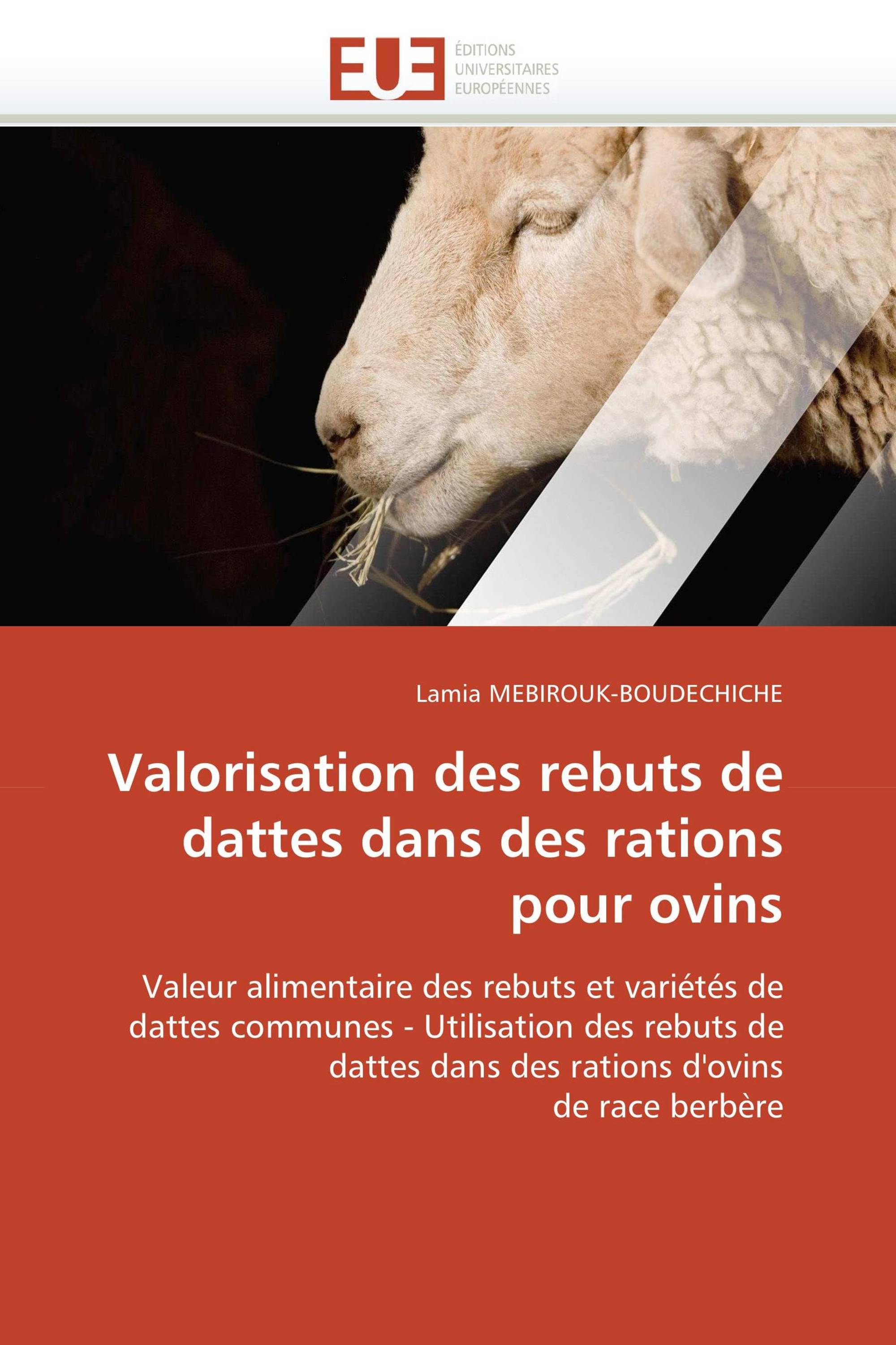 Valorisation des rebuts de dattes dans des rations pour ovins