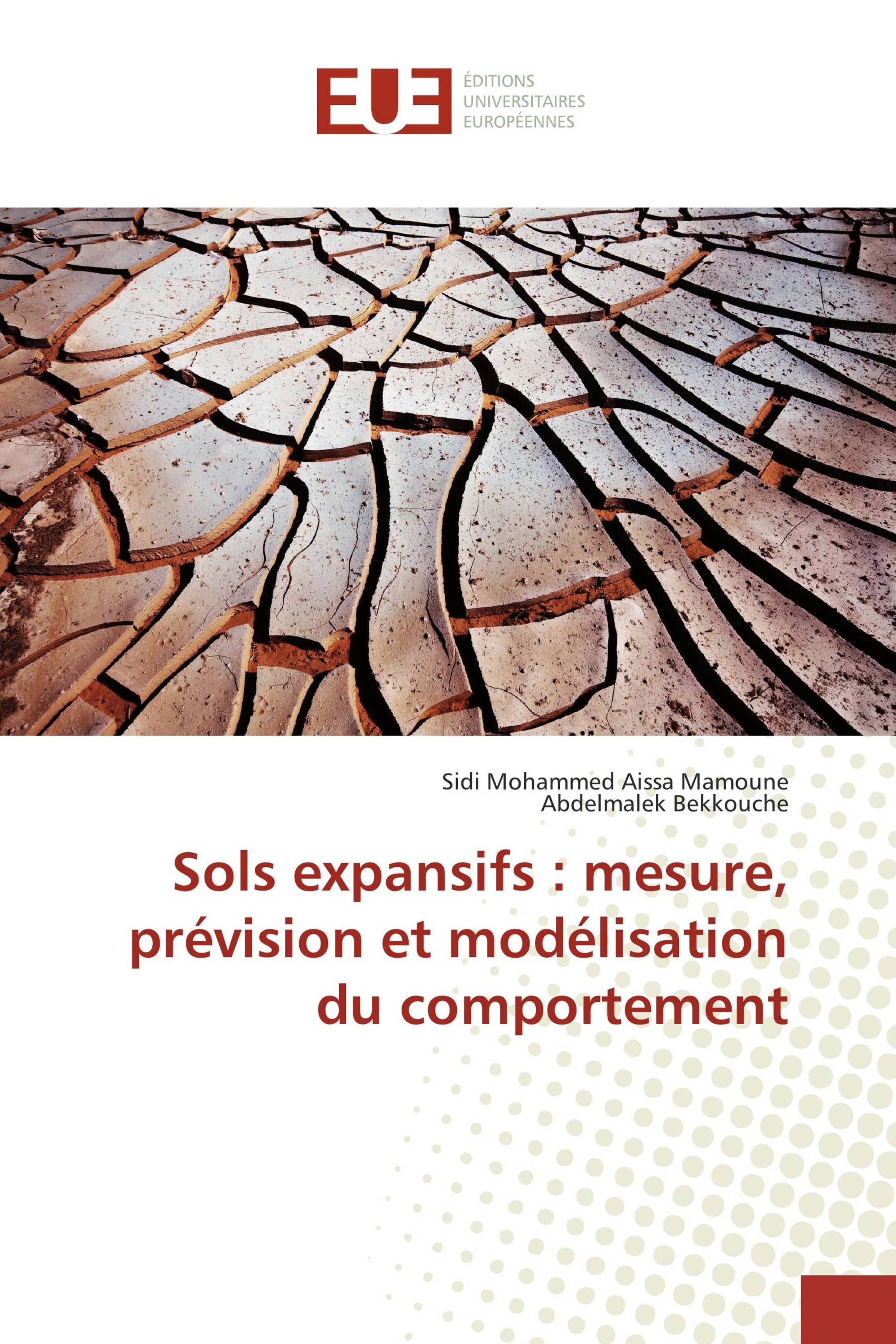 Sols expansifs : mesure, prévision et modélisation du comportement