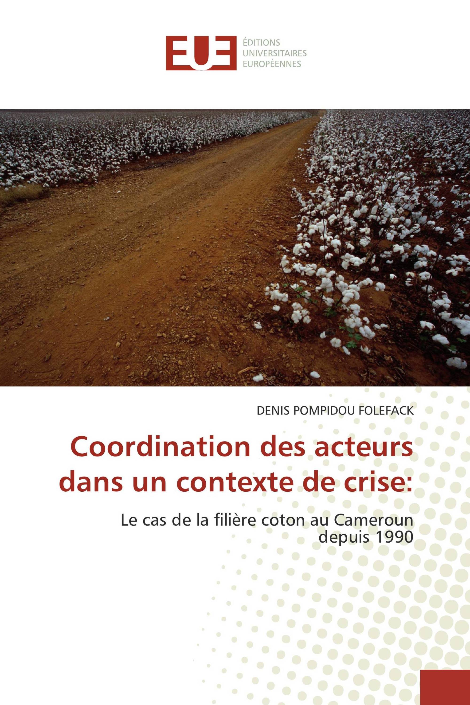 Coordination des acteurs dans un contexte de crise: