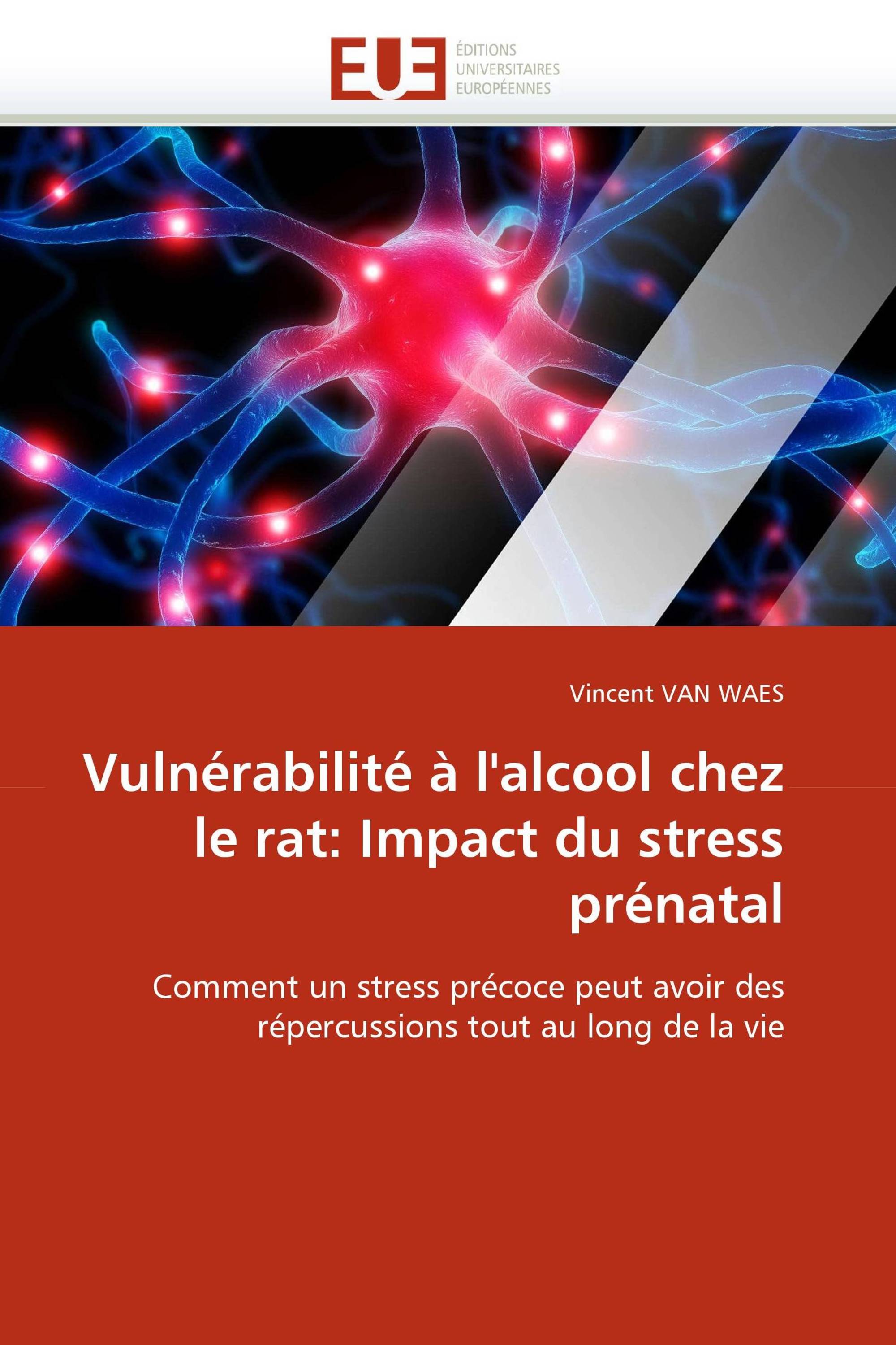 Vulnérabilité à l'alcool chez le rat: Impact du stress prénatal