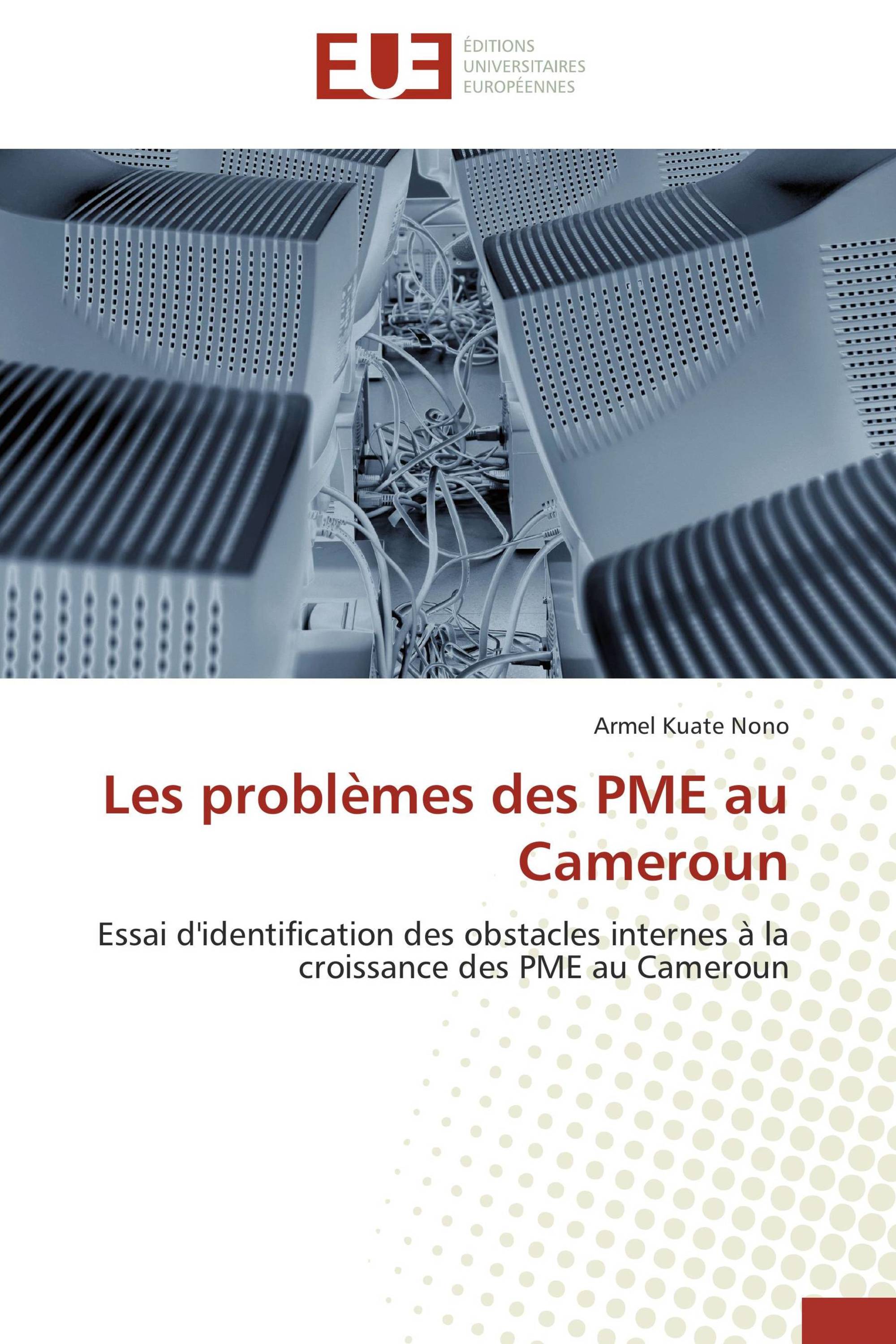 Les problèmes des PME au Cameroun