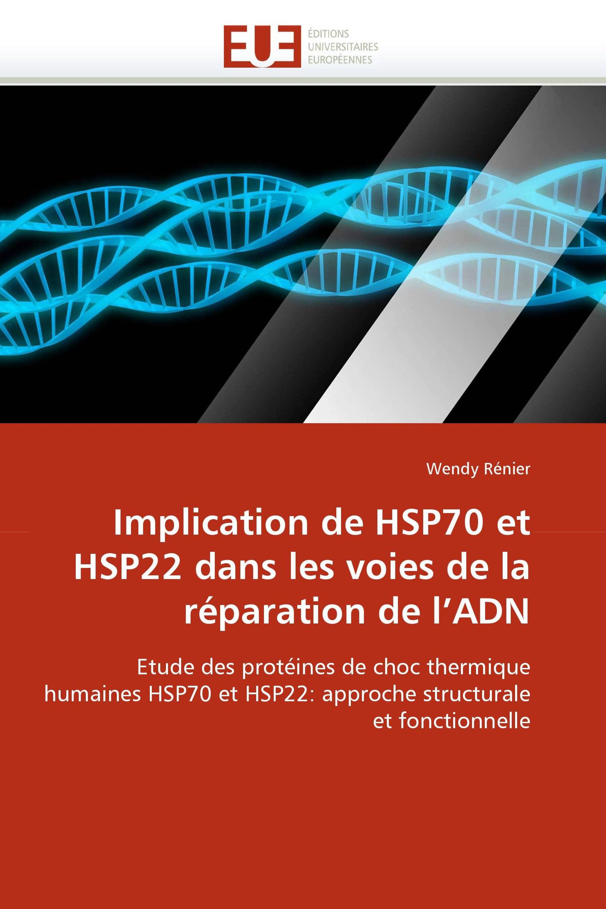 Implication de HSP70 et HSP22 dans les voies de la réparation de l'ADN