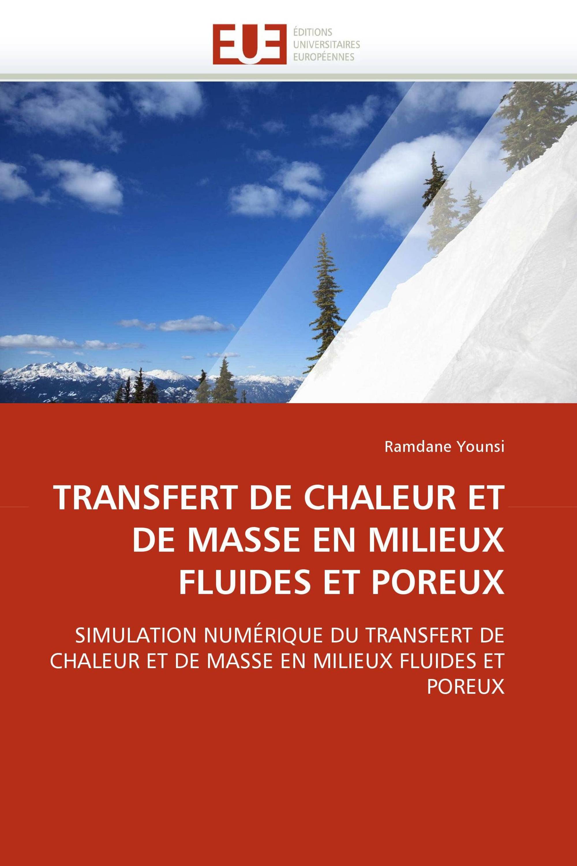 TRANSFERT DE CHALEUR ET DE MASSE EN MILIEUX FLUIDES ET POREUX