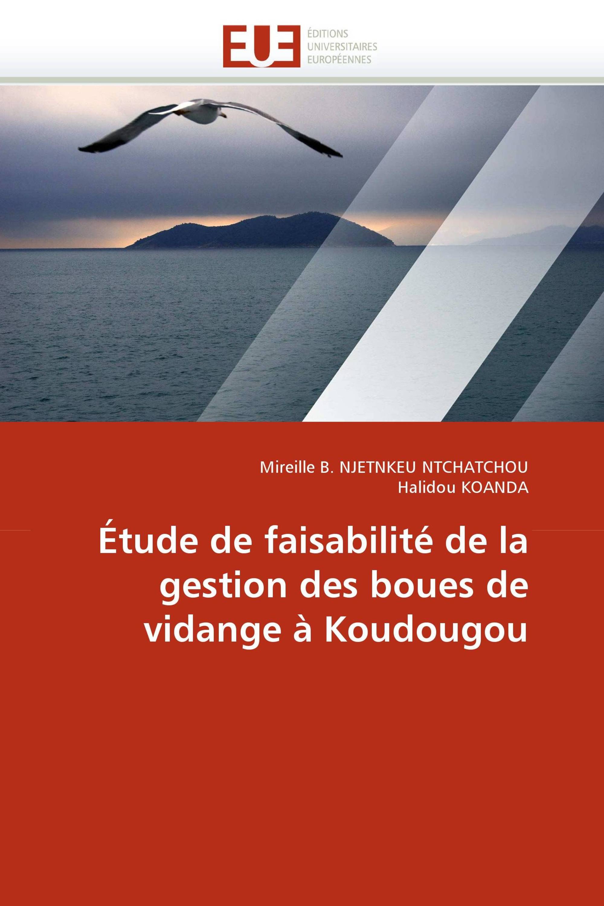 Étude de faisabilité de la gestion des boues de vidange à Koudougou