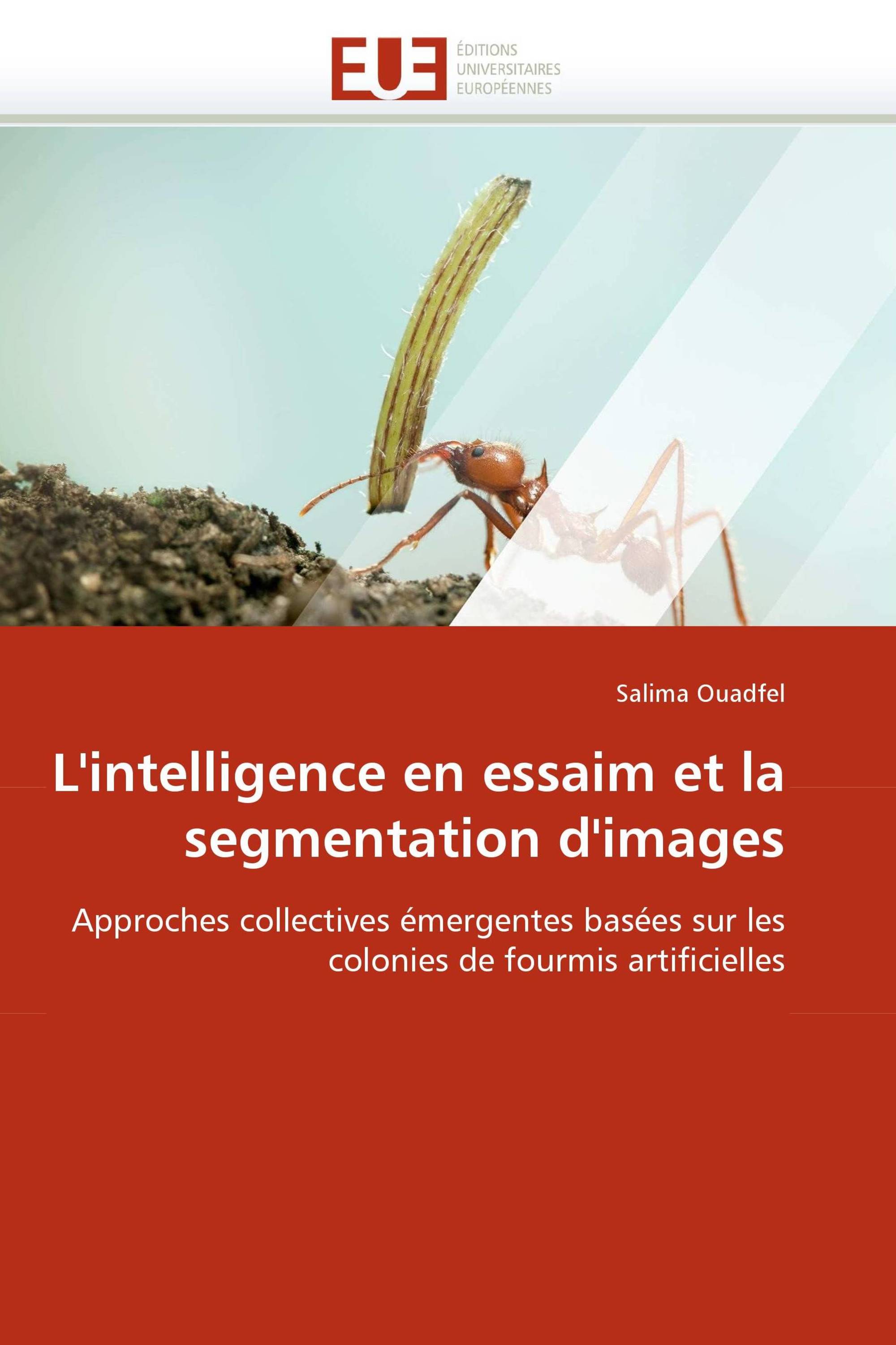 L'intelligence en essaim et la segmentation d'images