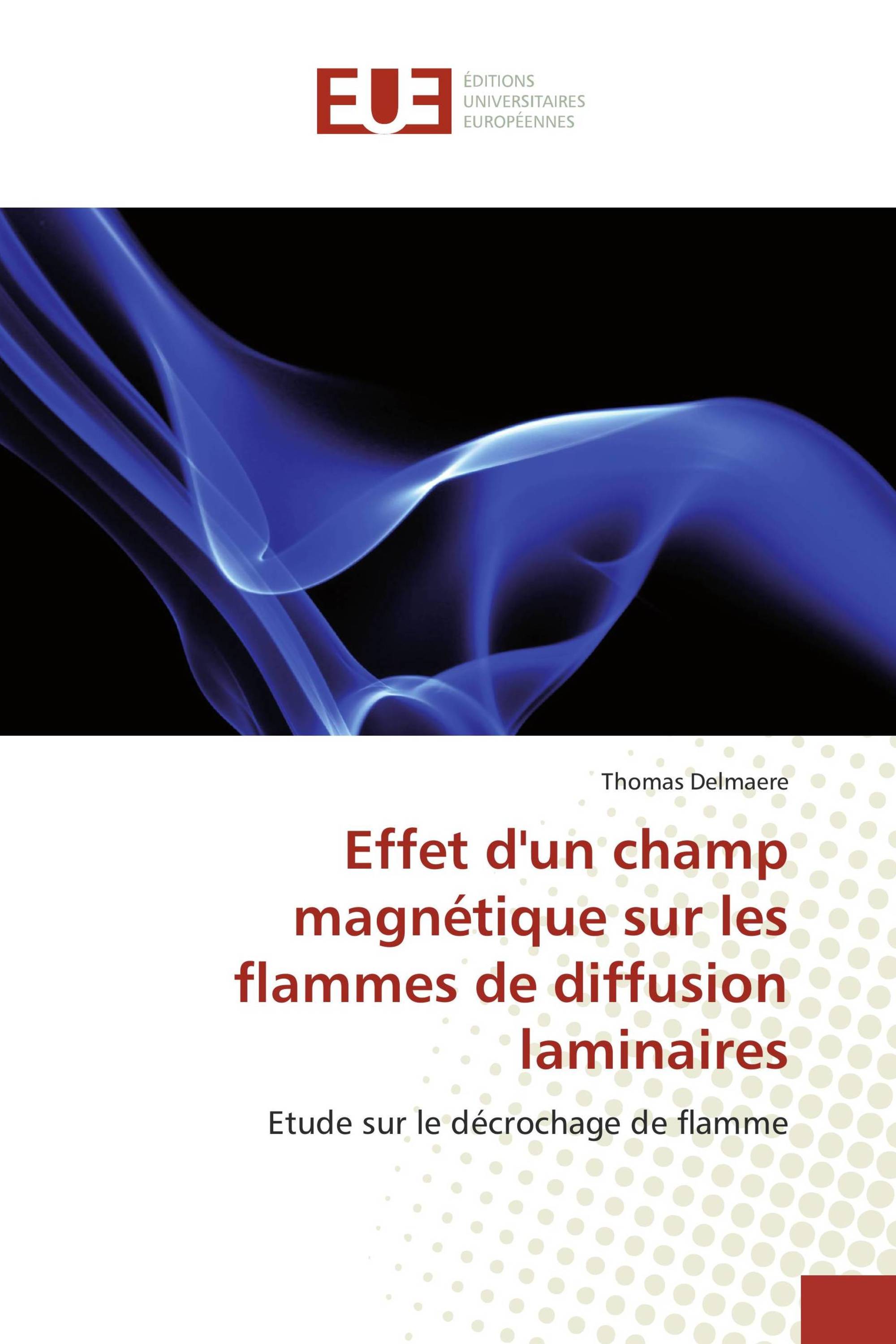 Effet d'un champ magnétique sur les flammes de diffusion laminaires