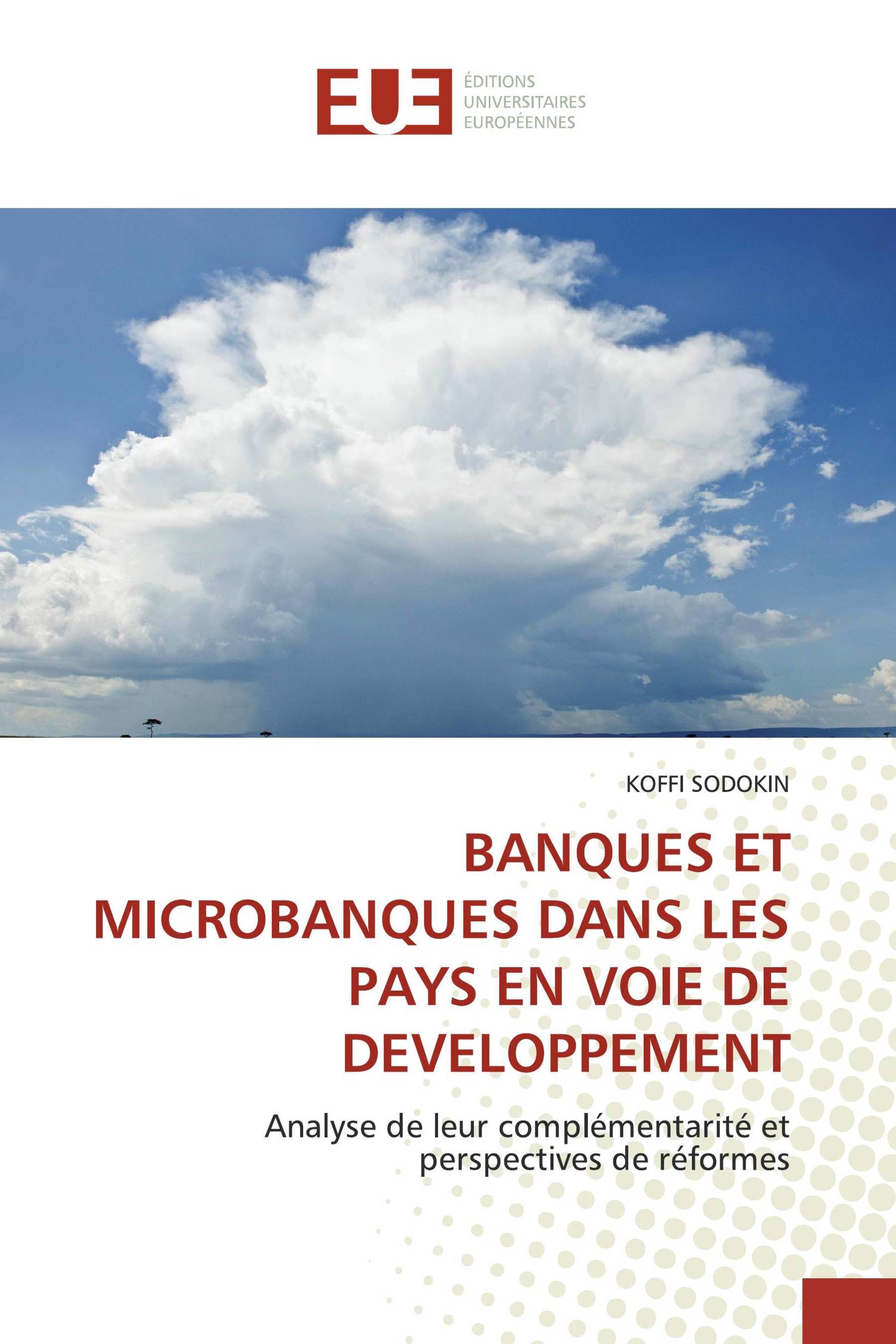 BANQUES ET MICROBANQUES DANS LES PAYS EN VOIE DE DEVELOPPEMENT