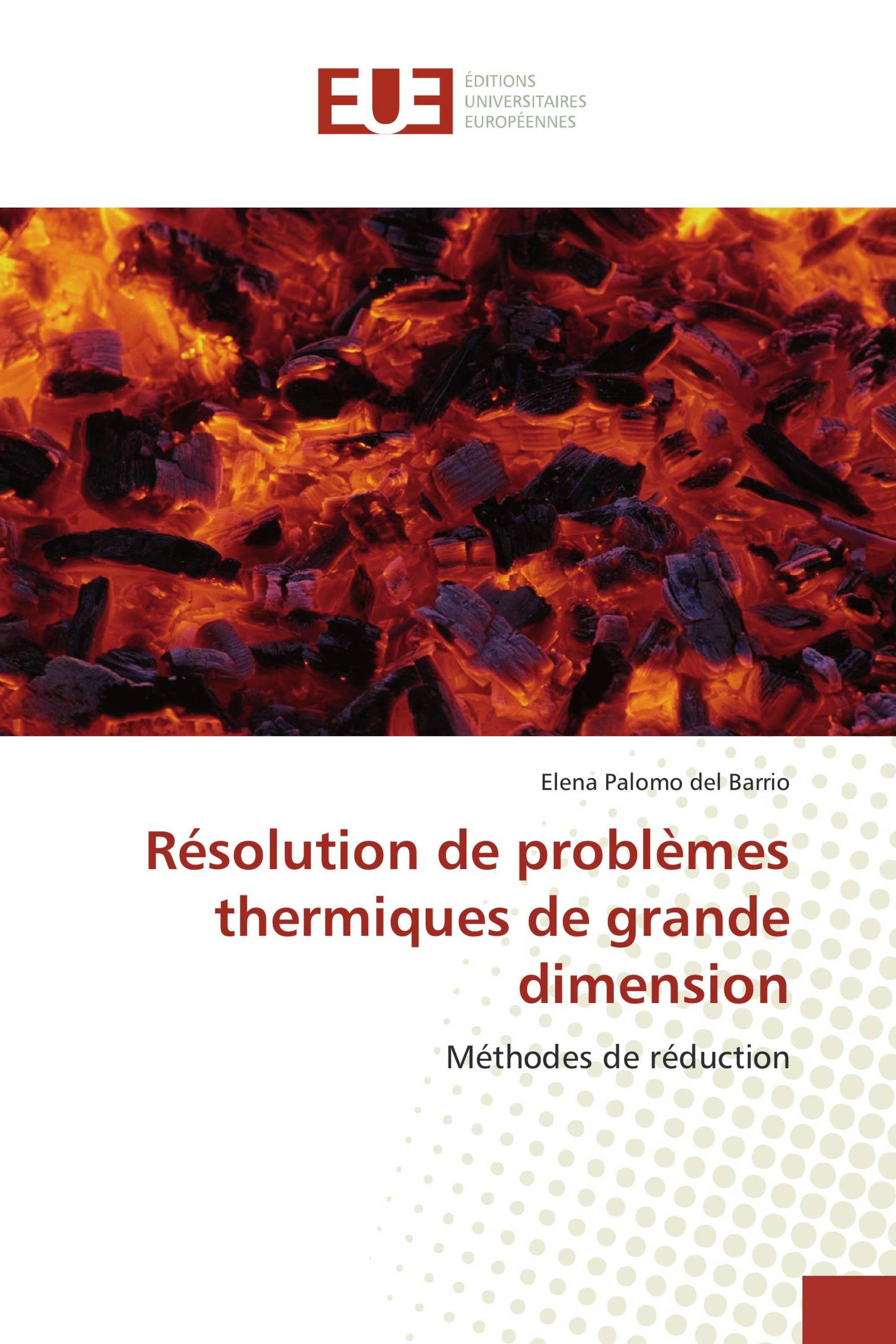 Résolution de problèmes thermiques de grande dimension