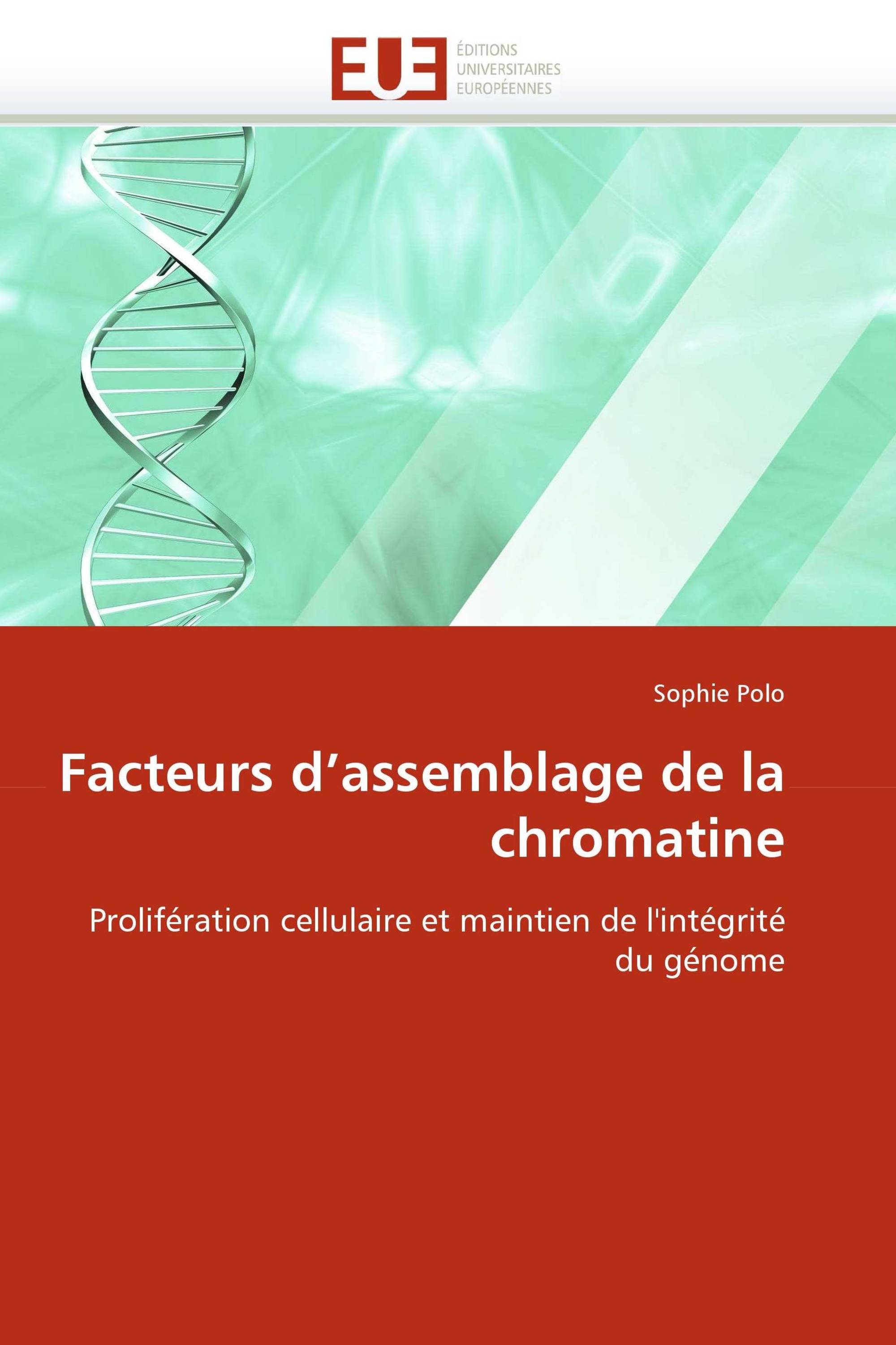 Facteurs d'assemblage de la chromatine