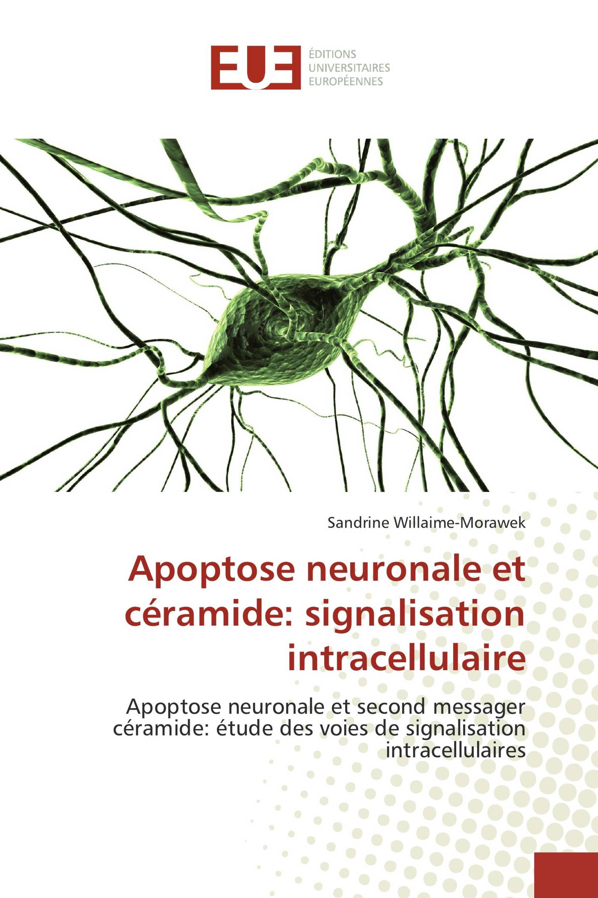 Apoptose neuronale et céramide: signalisation intracellulaire