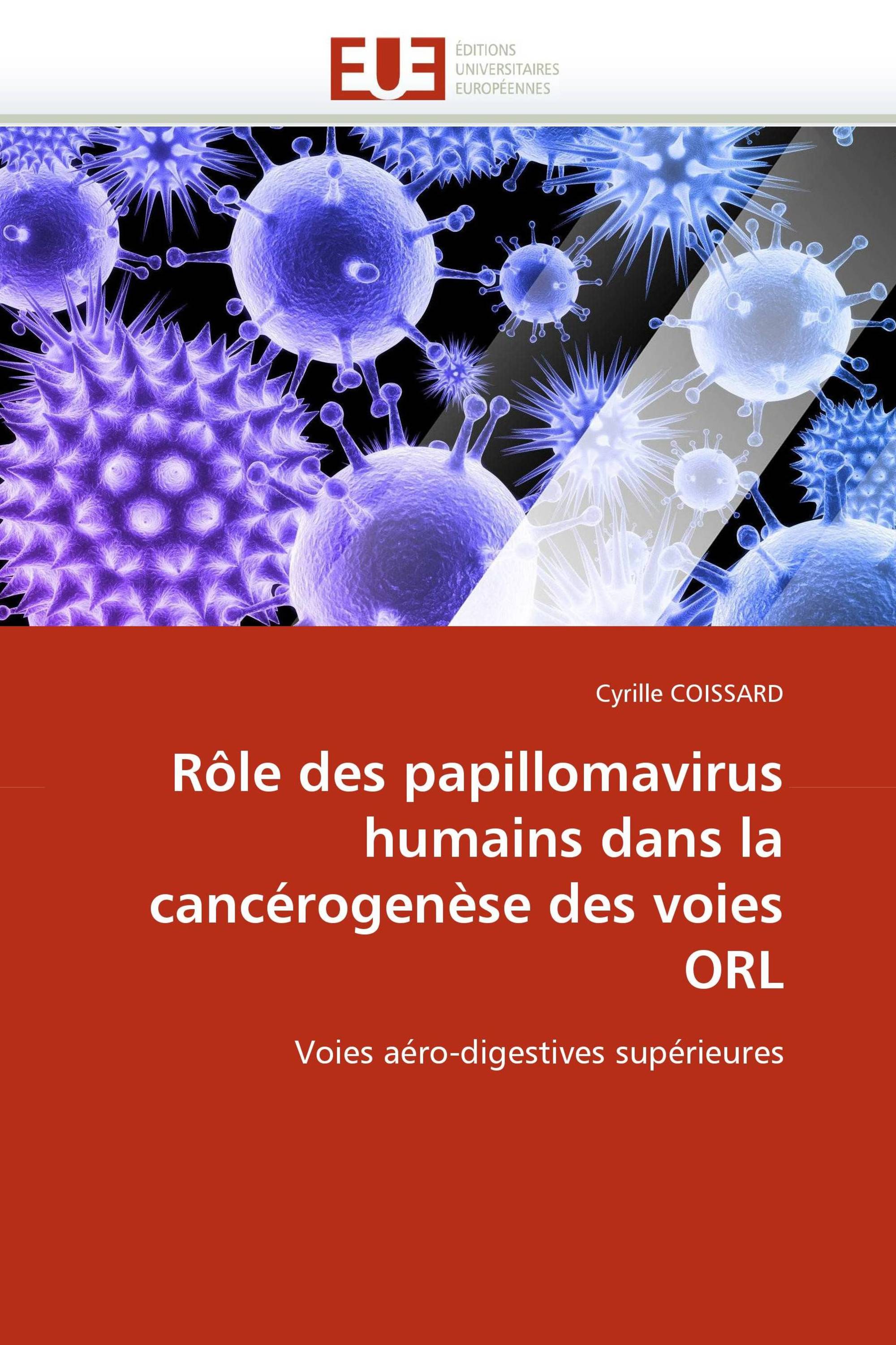 Rôle des papillomavirus humains dans la cancérogenèse des voies ORL