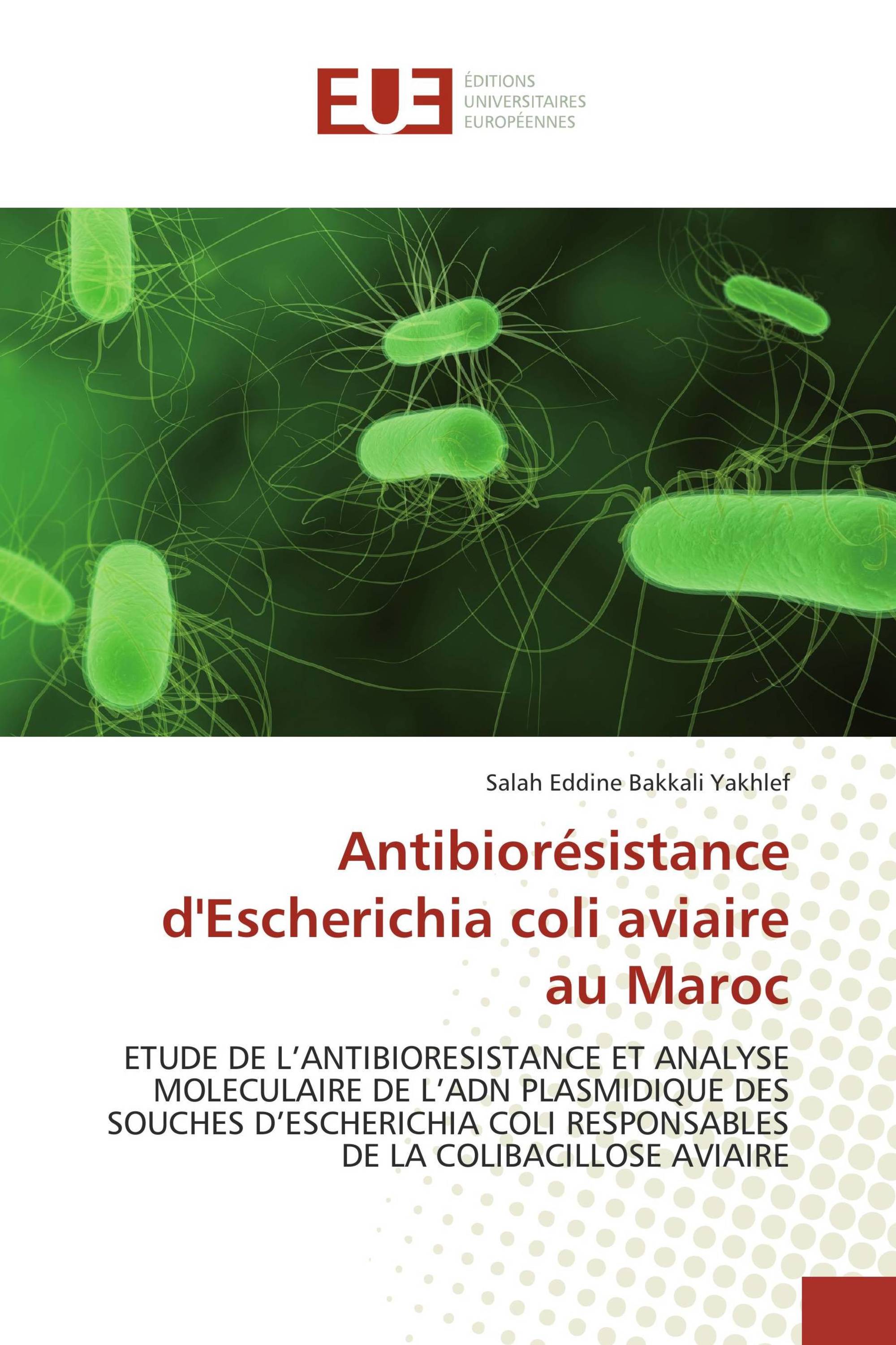 Antibiorésistance d'Escherichia coli aviaire au Maroc