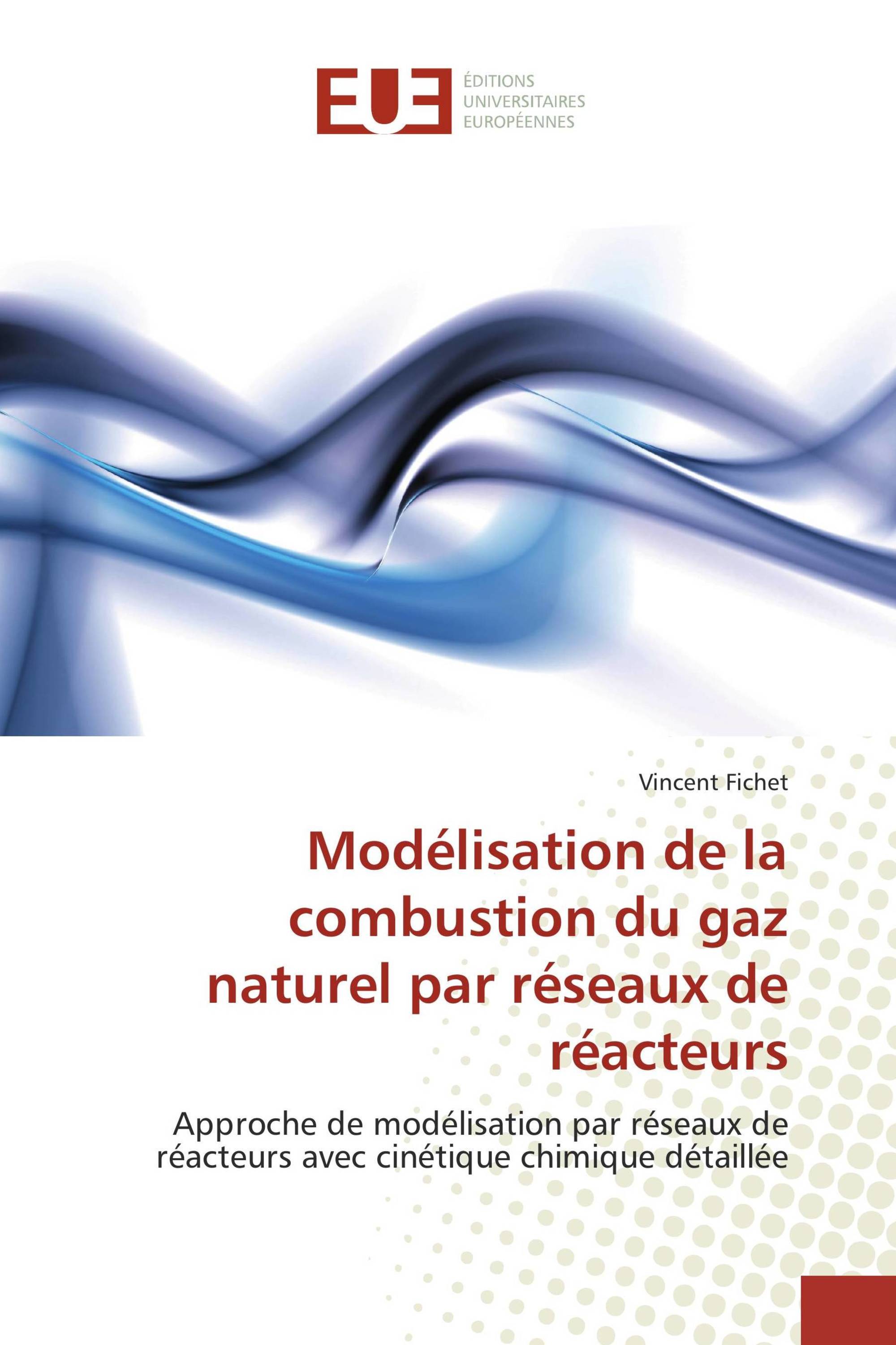 Modélisation de la combustion du gaz naturel par réseaux de réacteurs