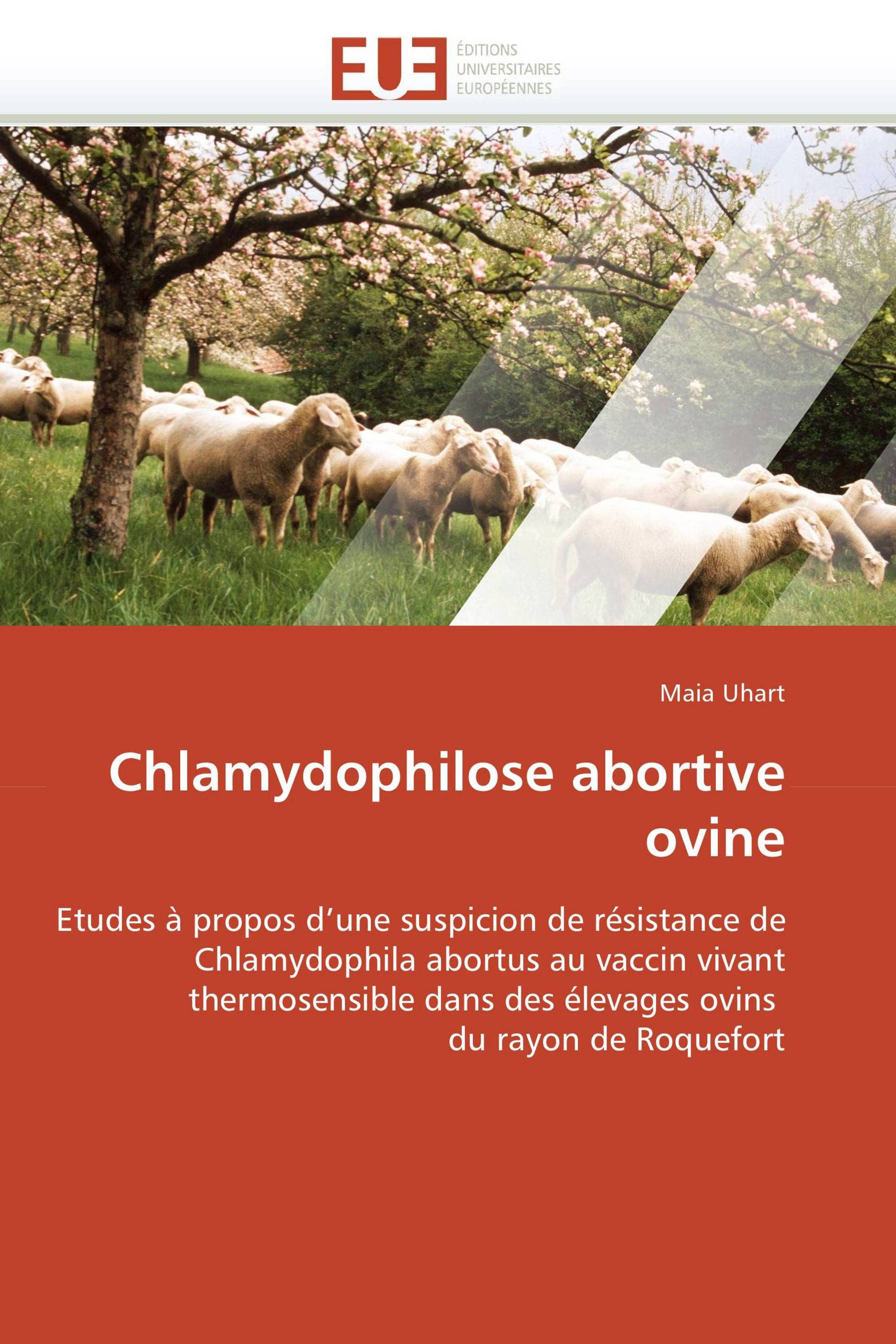 Chlamydophilose abortive ovine