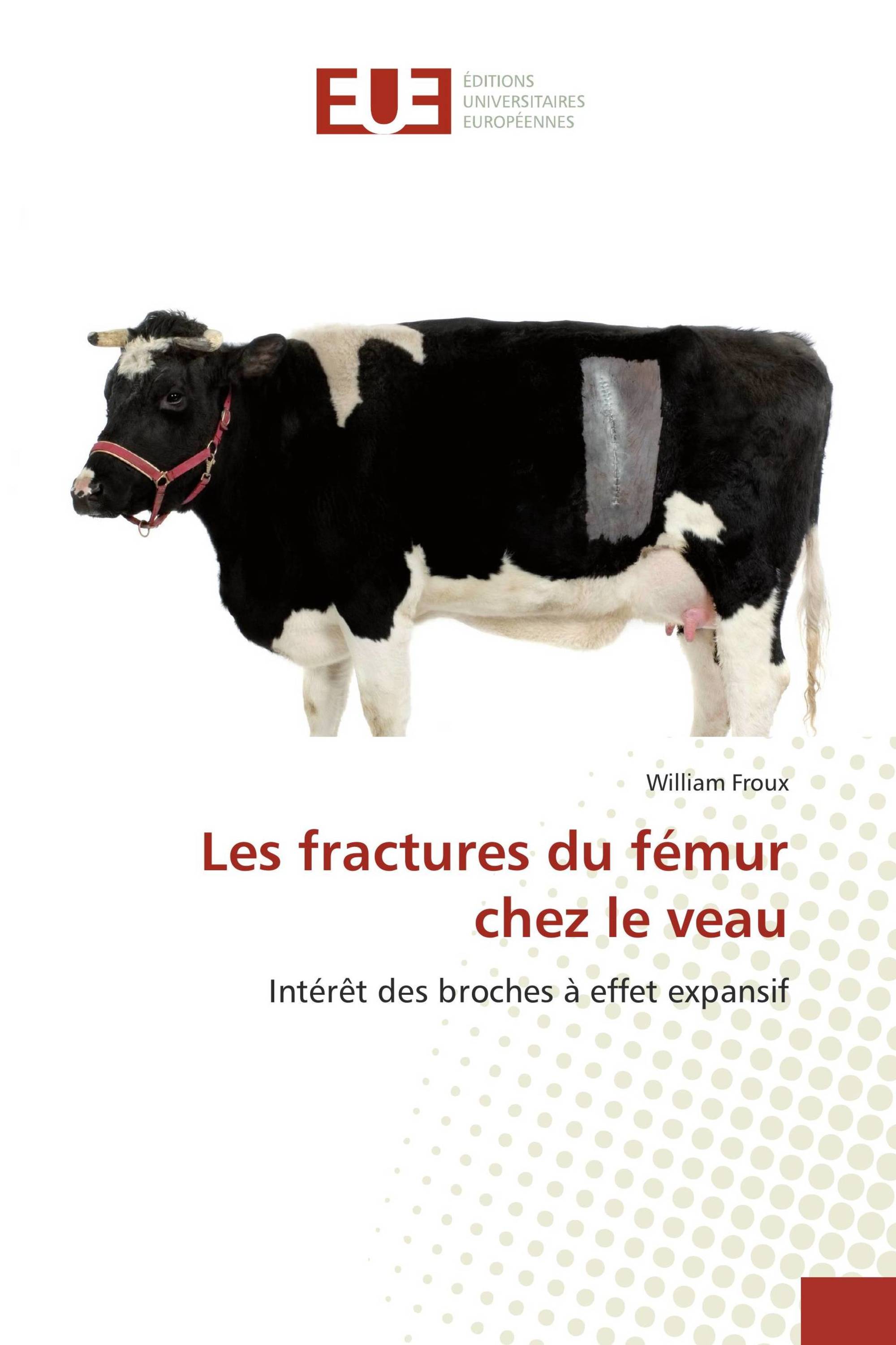 Les fractures du fémur chez le veau