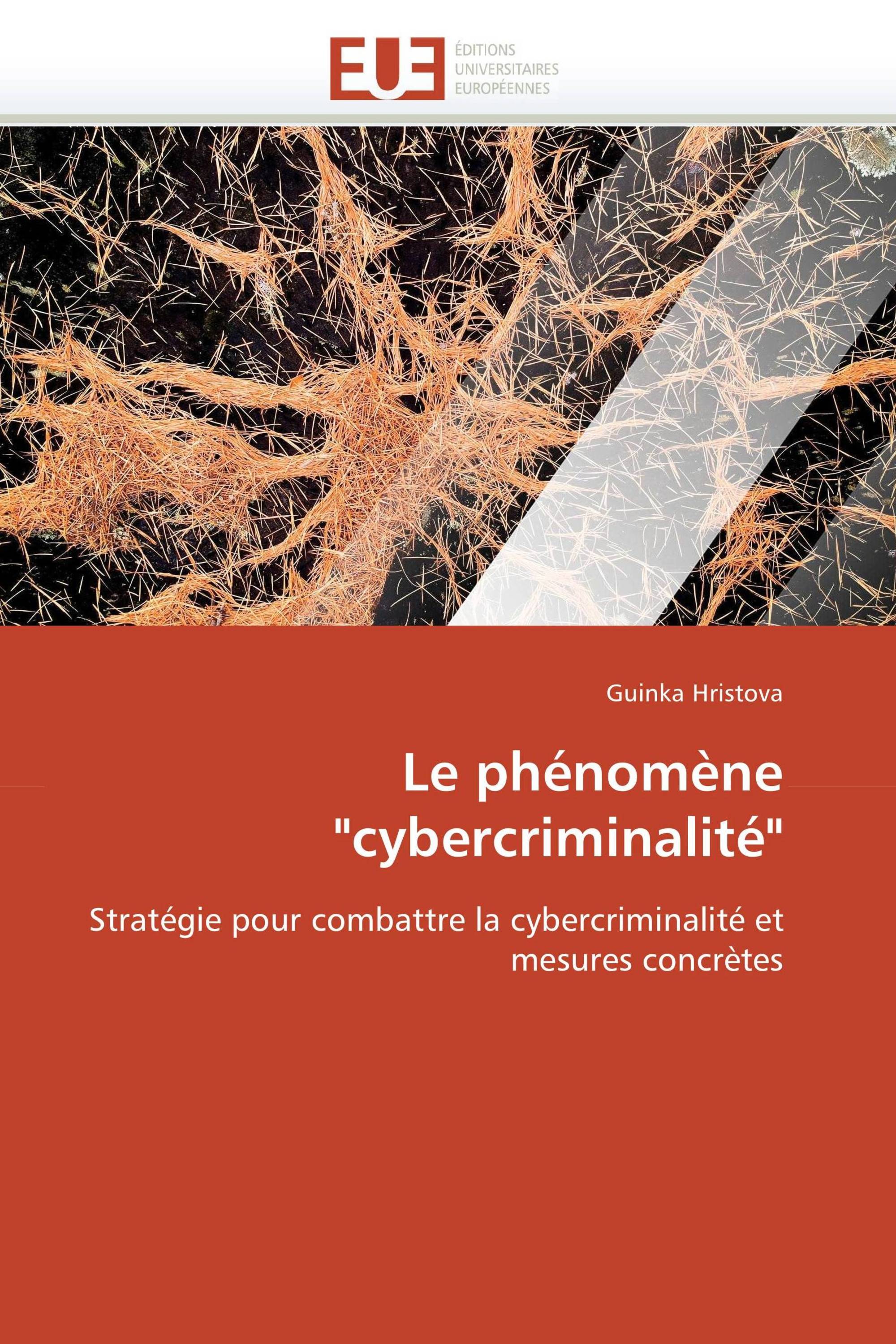 Le phénomène "cybercriminalité"