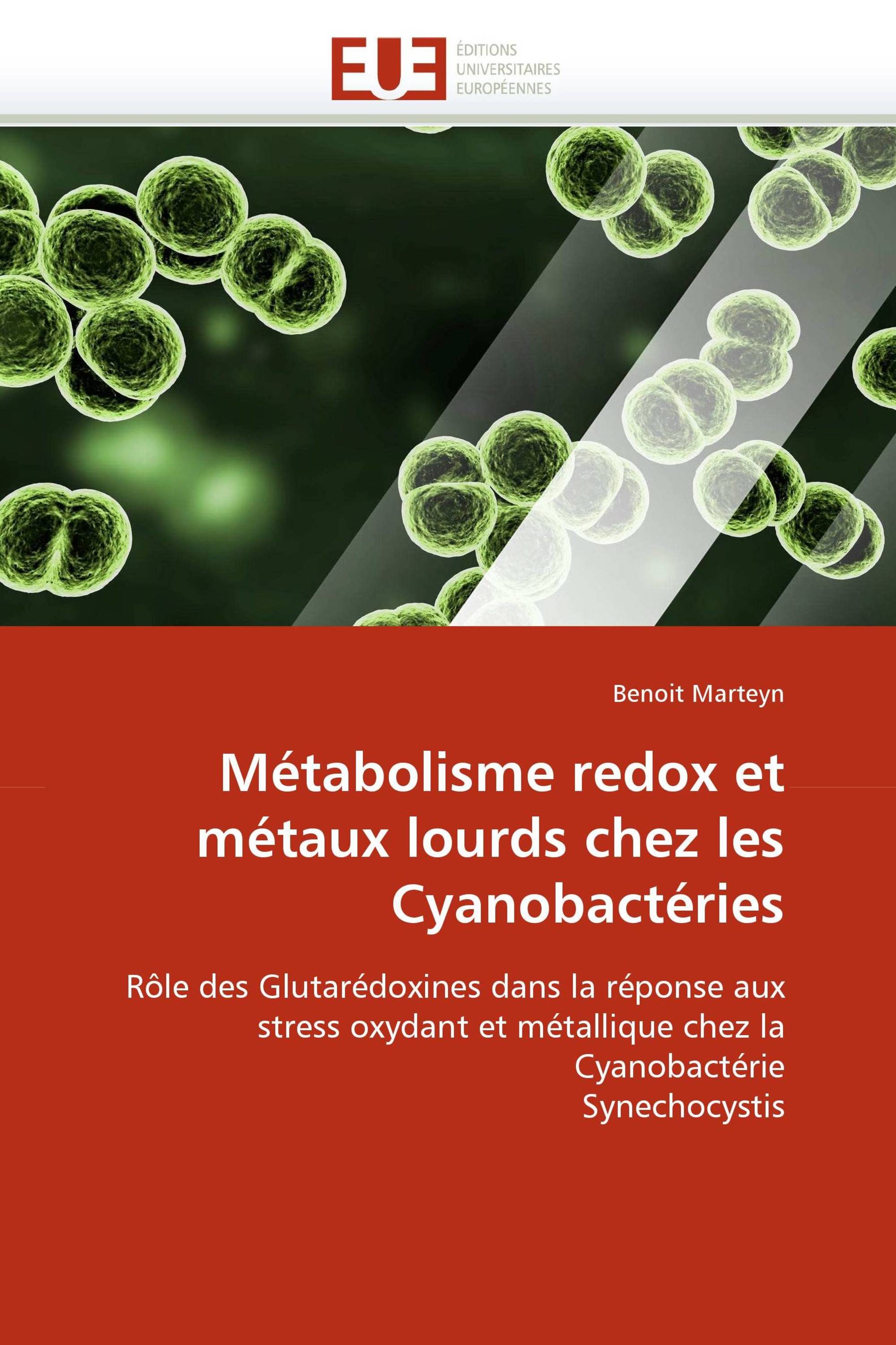 Métabolisme redox et métaux lourds chez les Cyanobactéries