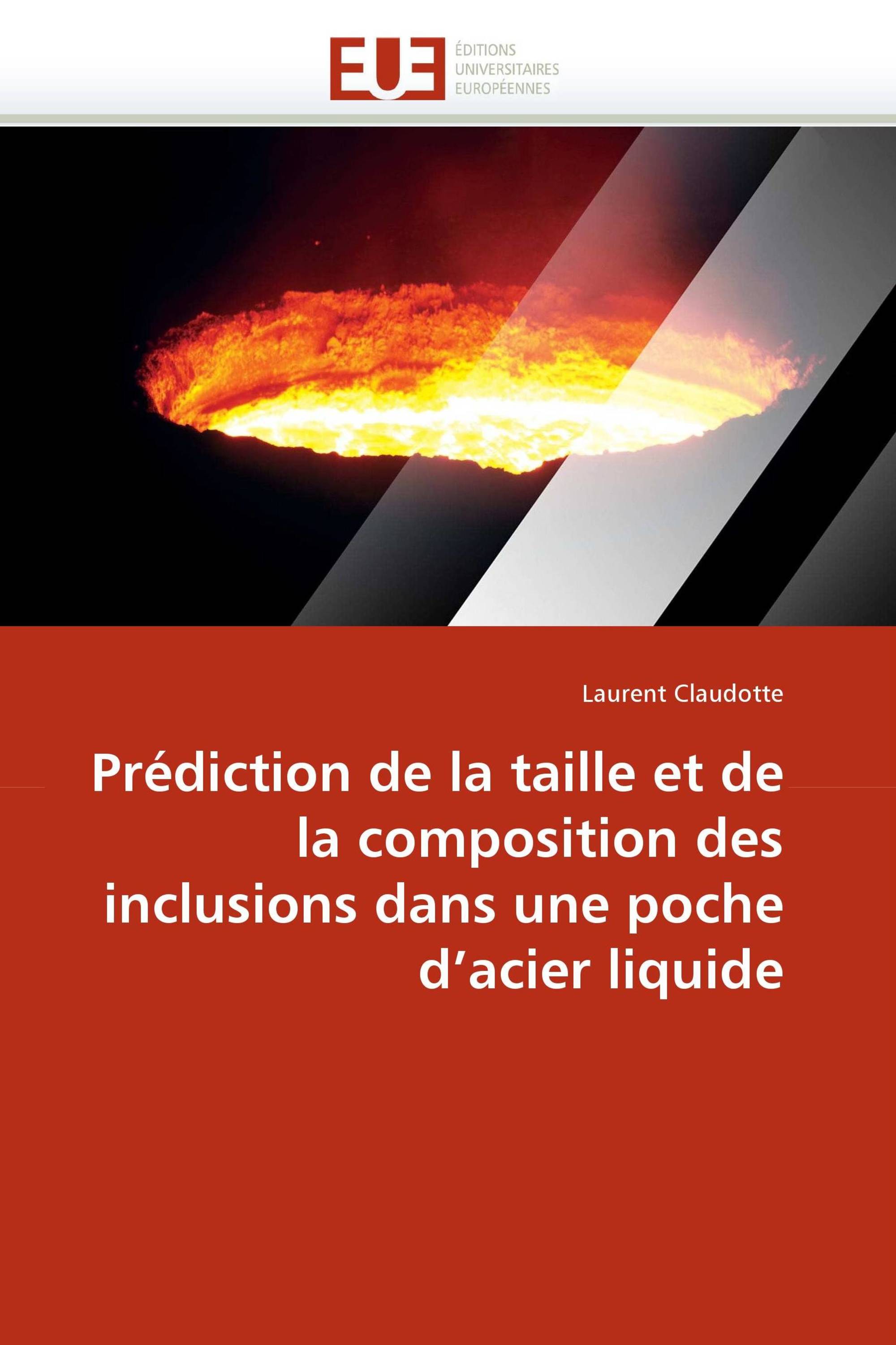 Prédiction de la taille et de la composition des inclusions dans une poche d'acier liquide