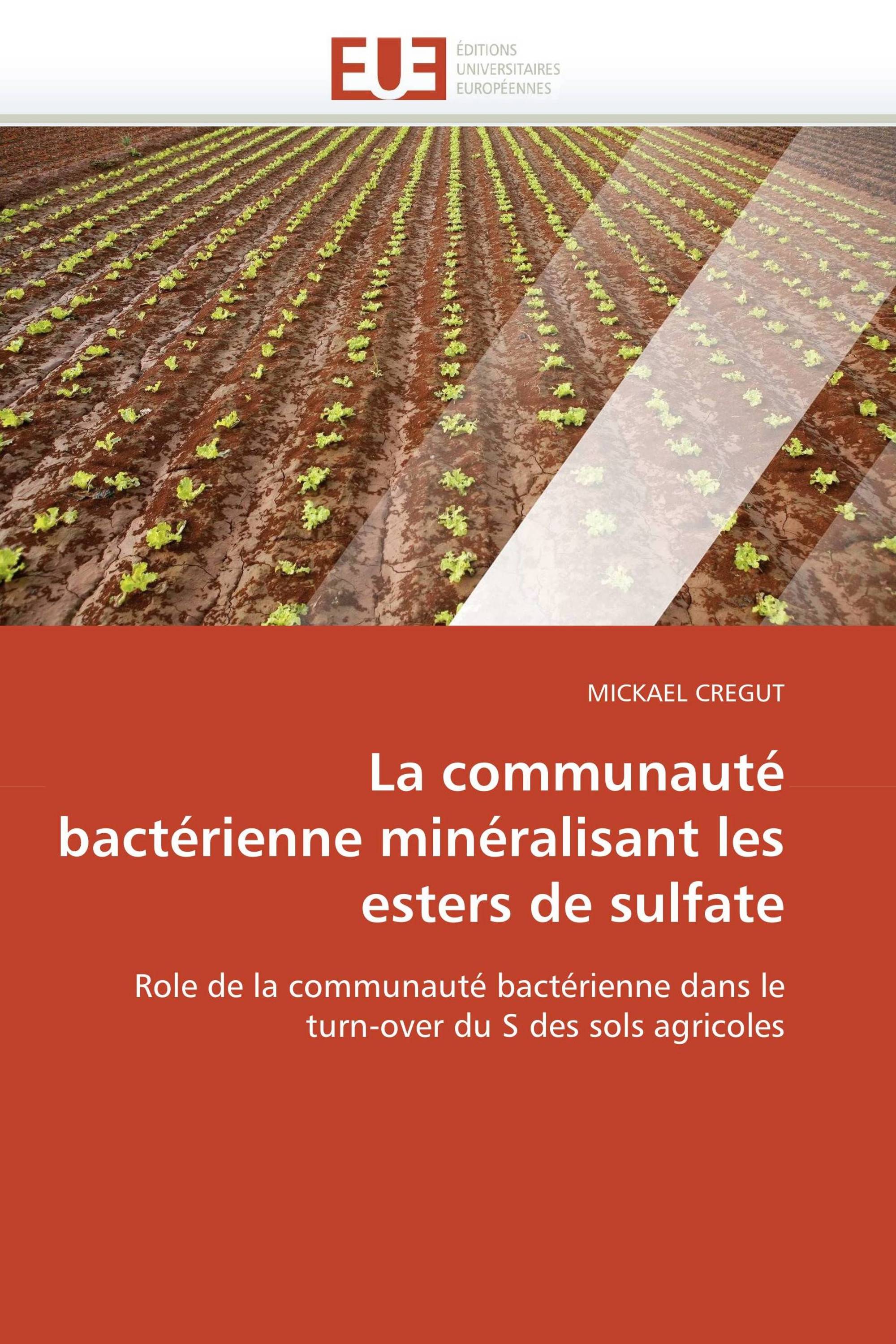 La communauté bactérienne minéralisant les esters de sulfate