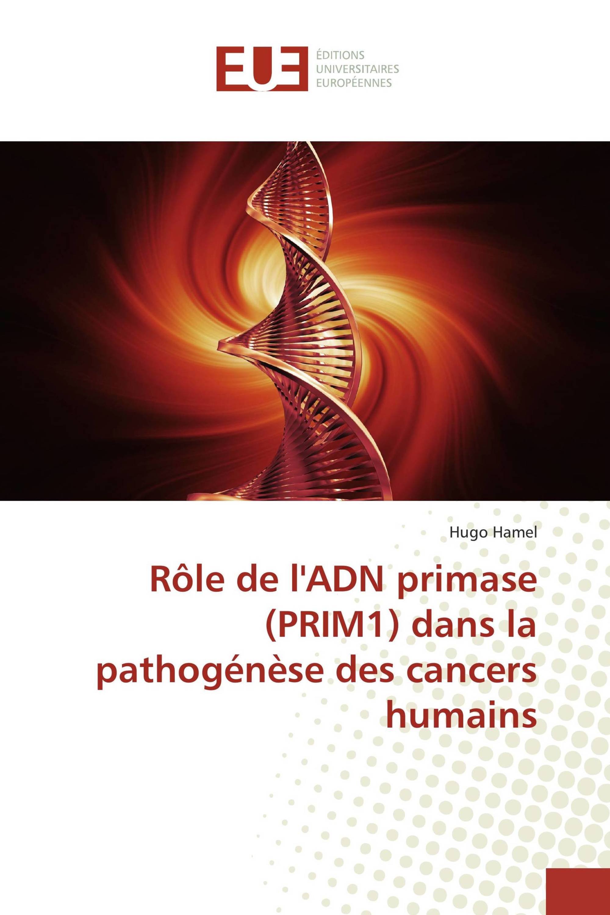 Rôle de l'ADN primase (PRIM1) dans la pathogénèse des cancers humains