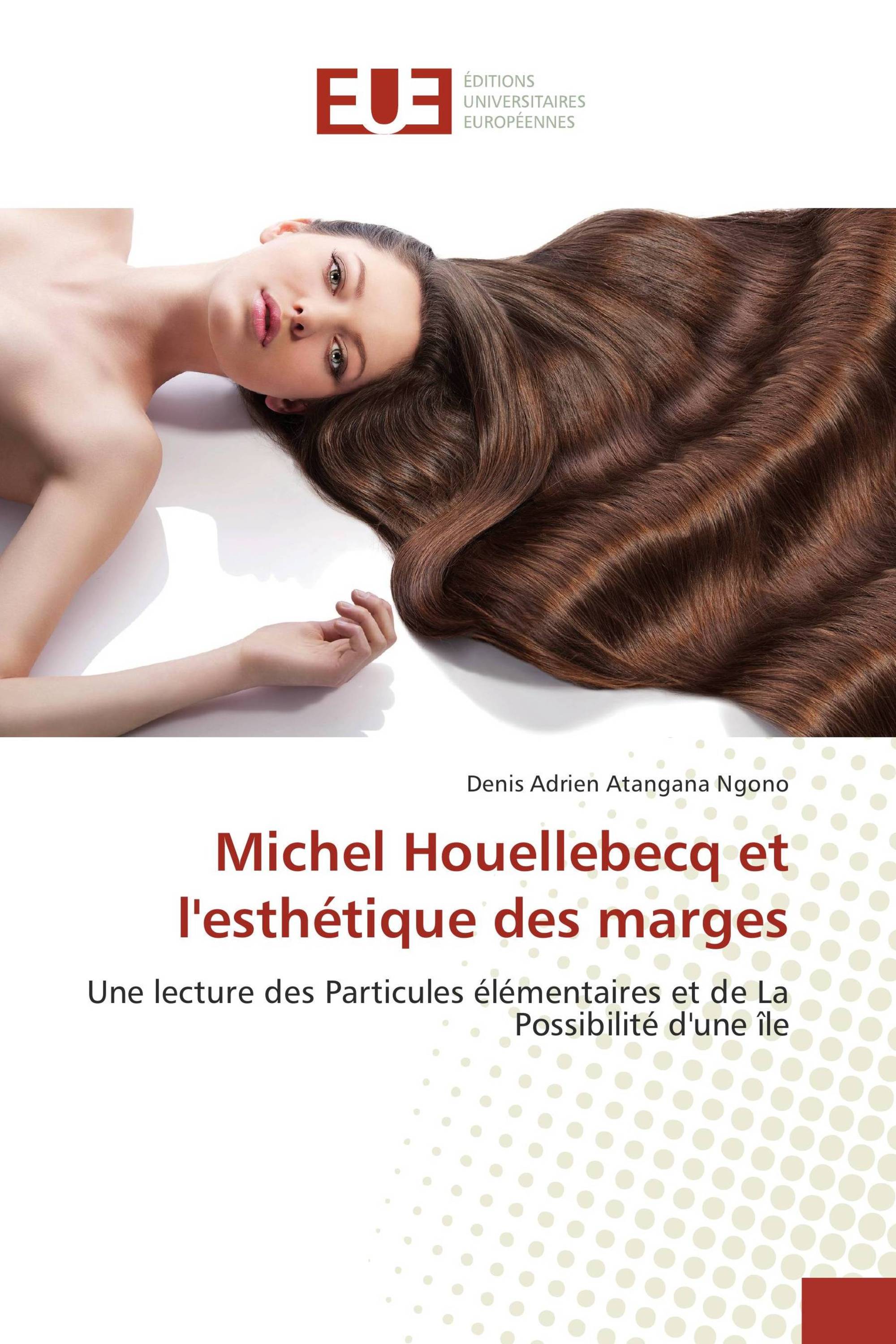 Michel Houellebecq et l'esthétique des marges