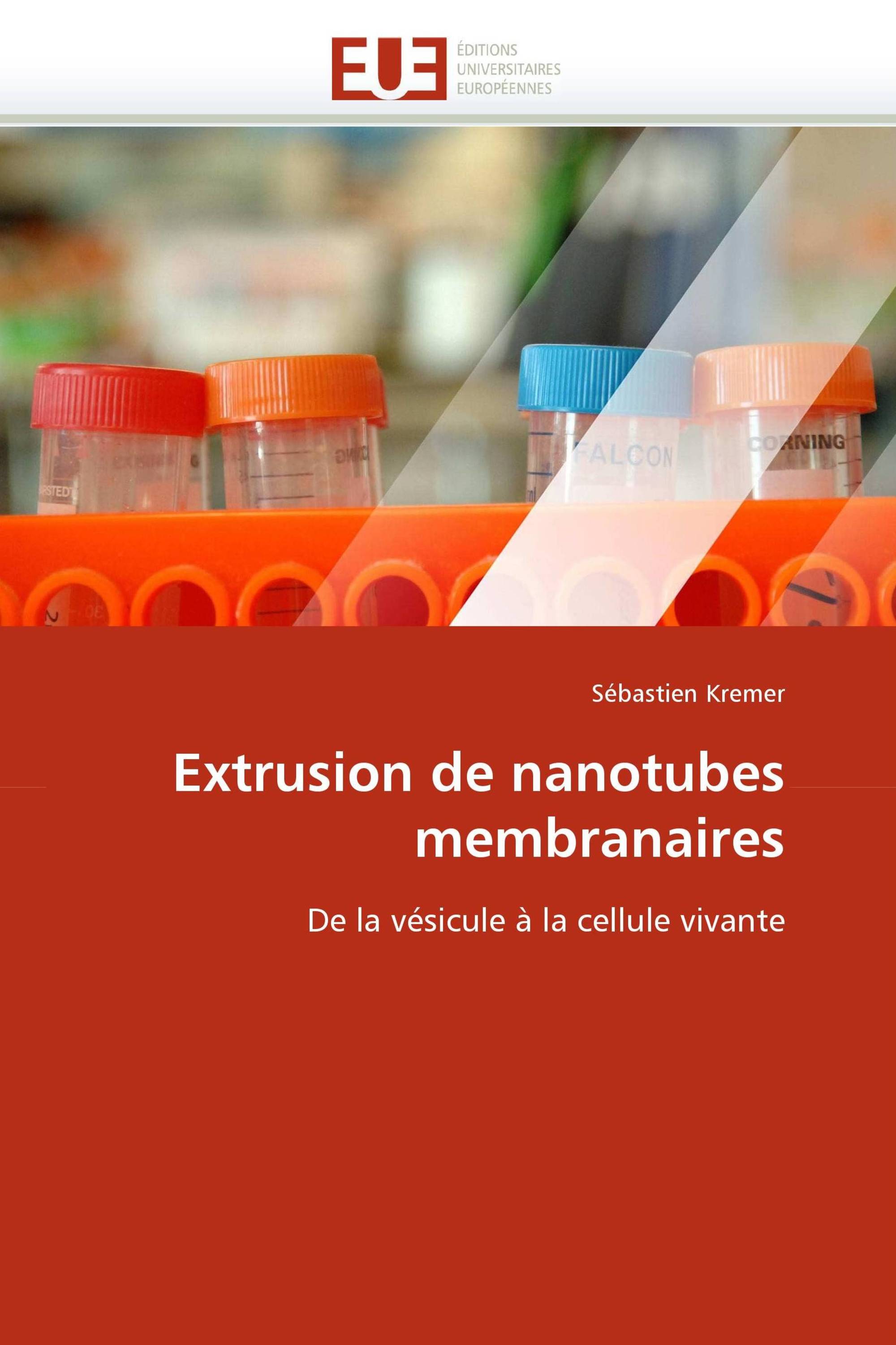 Extrusion de nanotubes membranaires