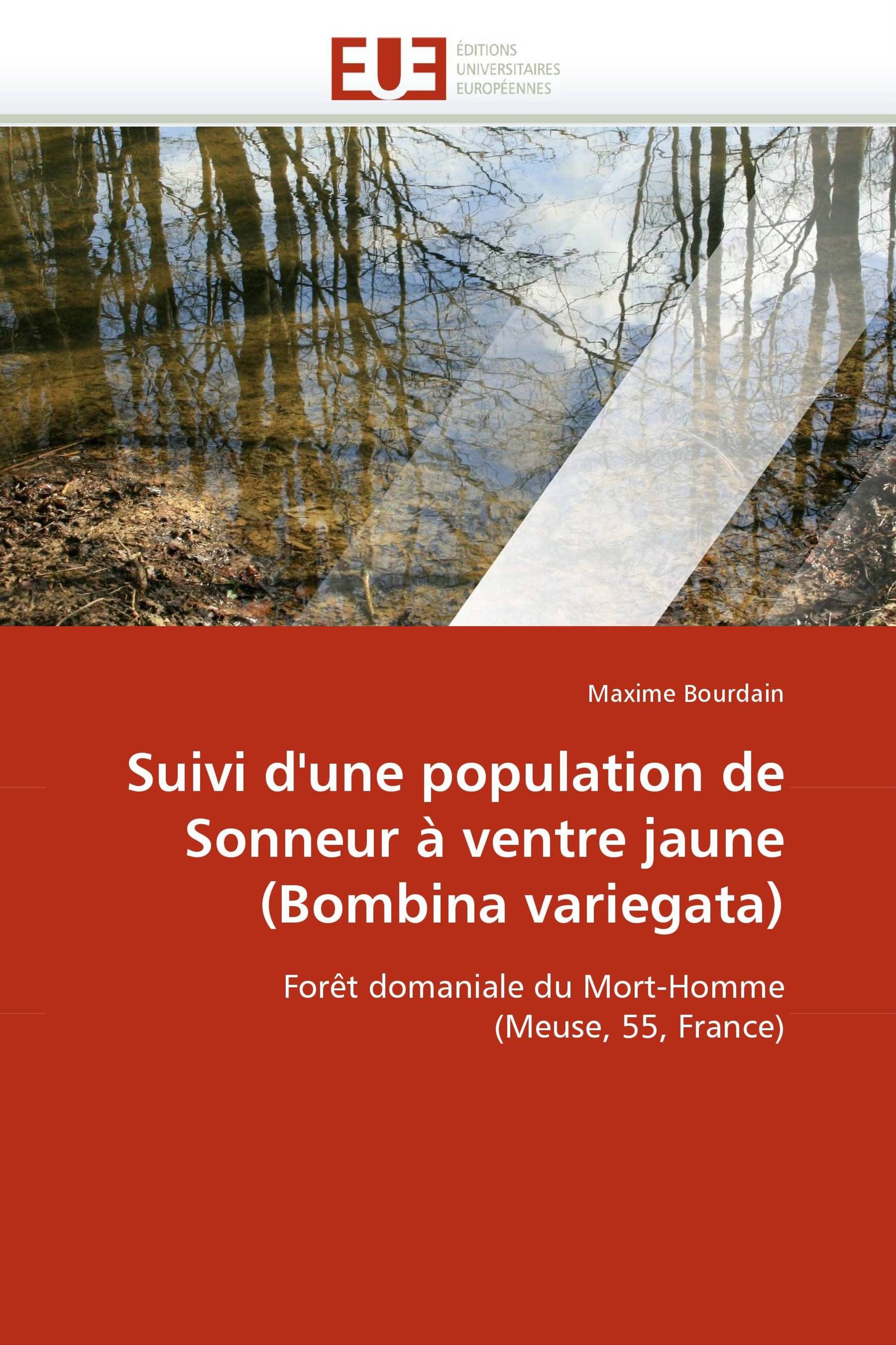 Suivi d'une population de Sonneur à ventre jaune (Bombina variegata)