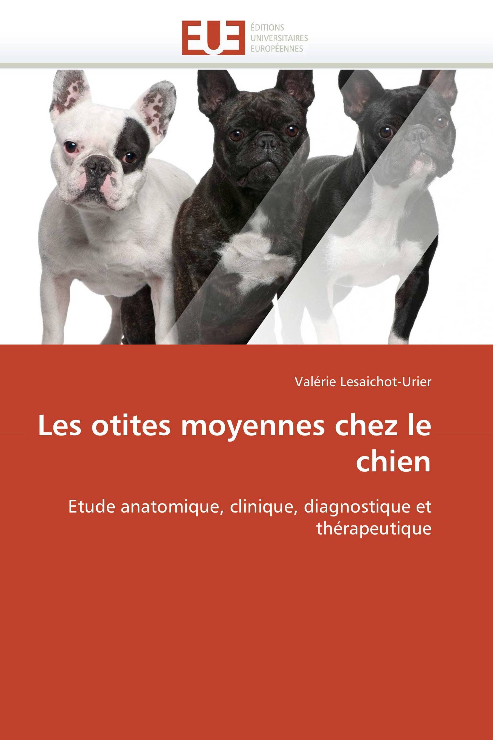 Les otites moyennes chez le chien