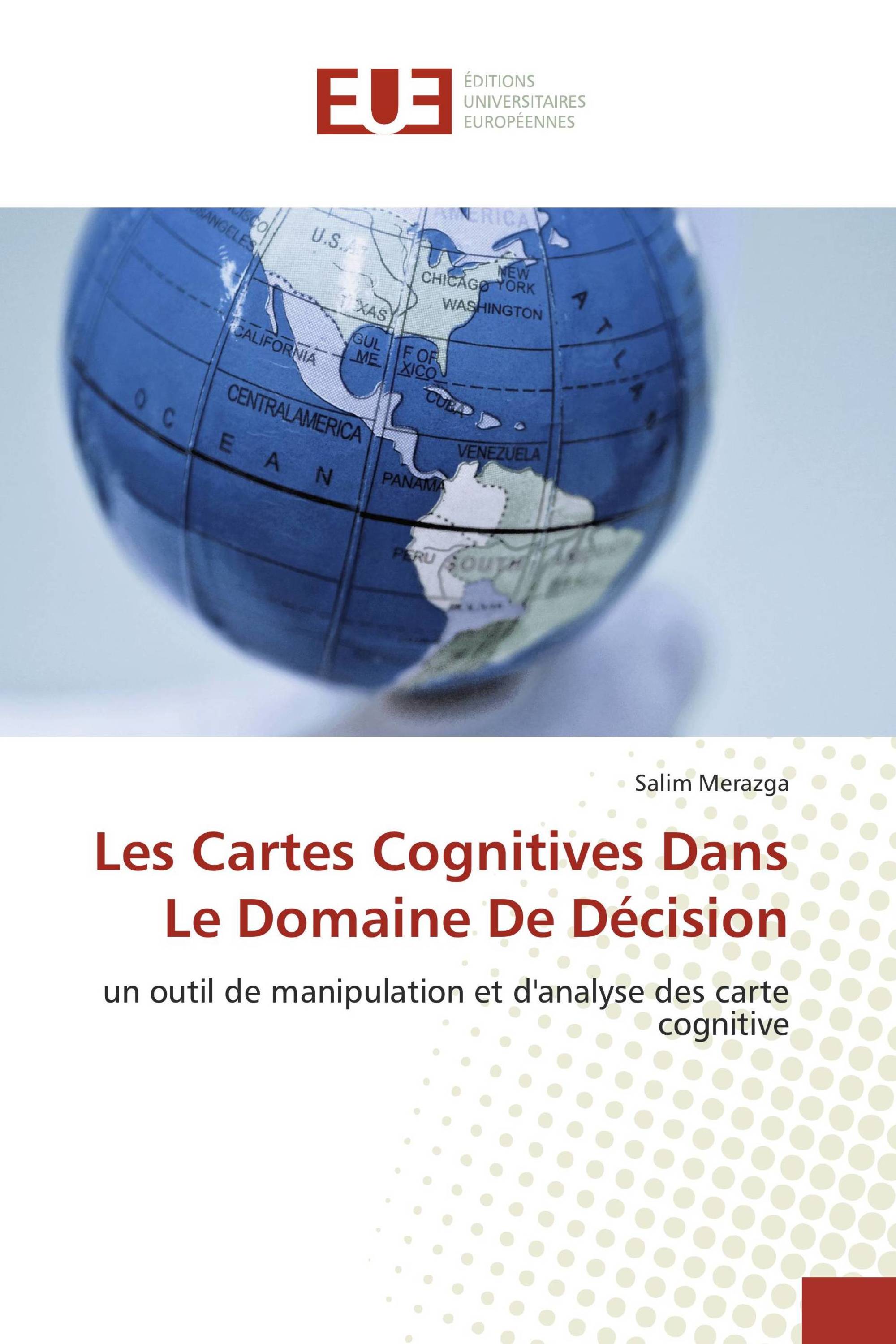 Les Cartes Cognitives Dans Le Domaine De Décision