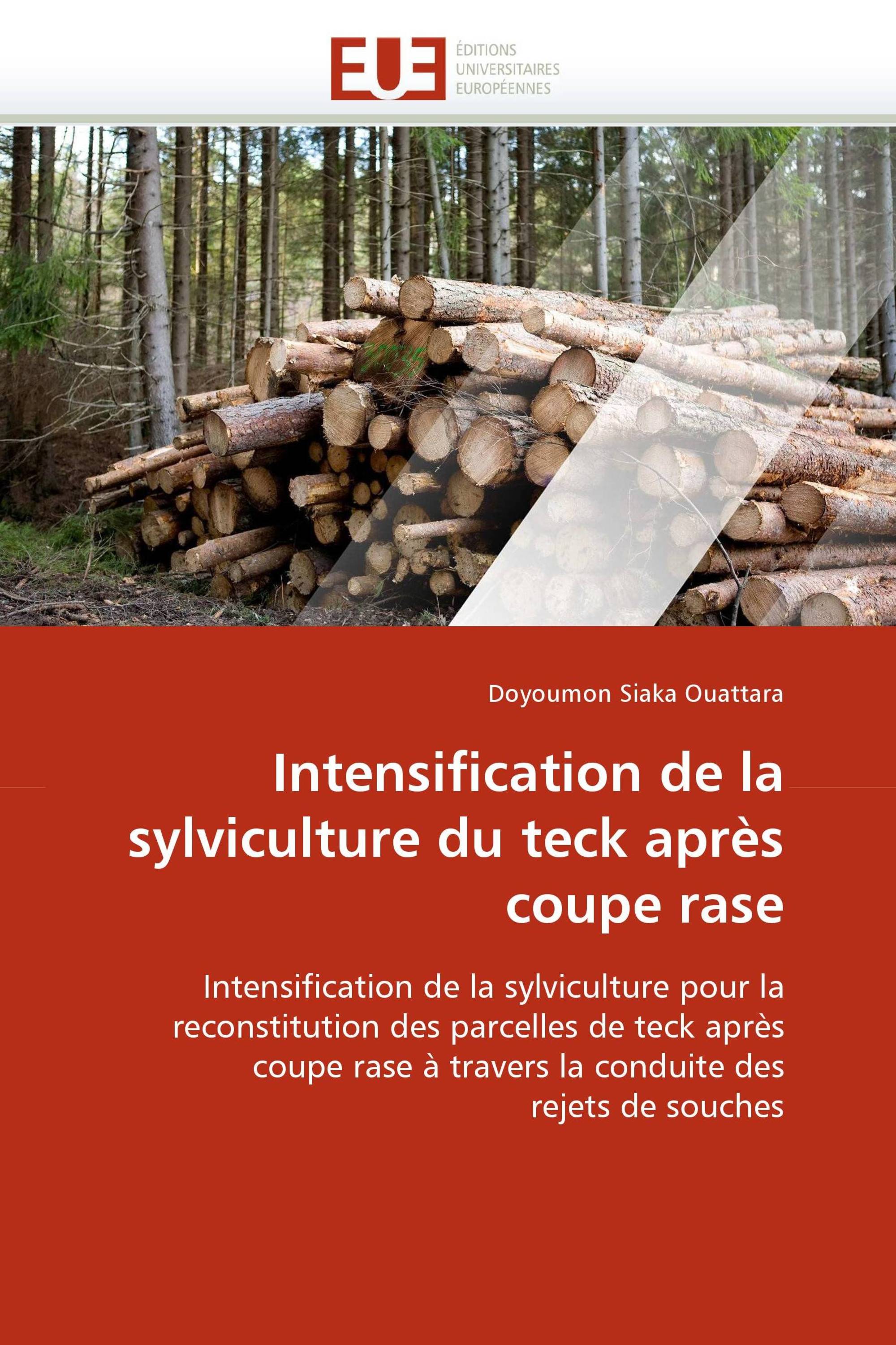 Intensification de la sylviculture du teck après coupe rase