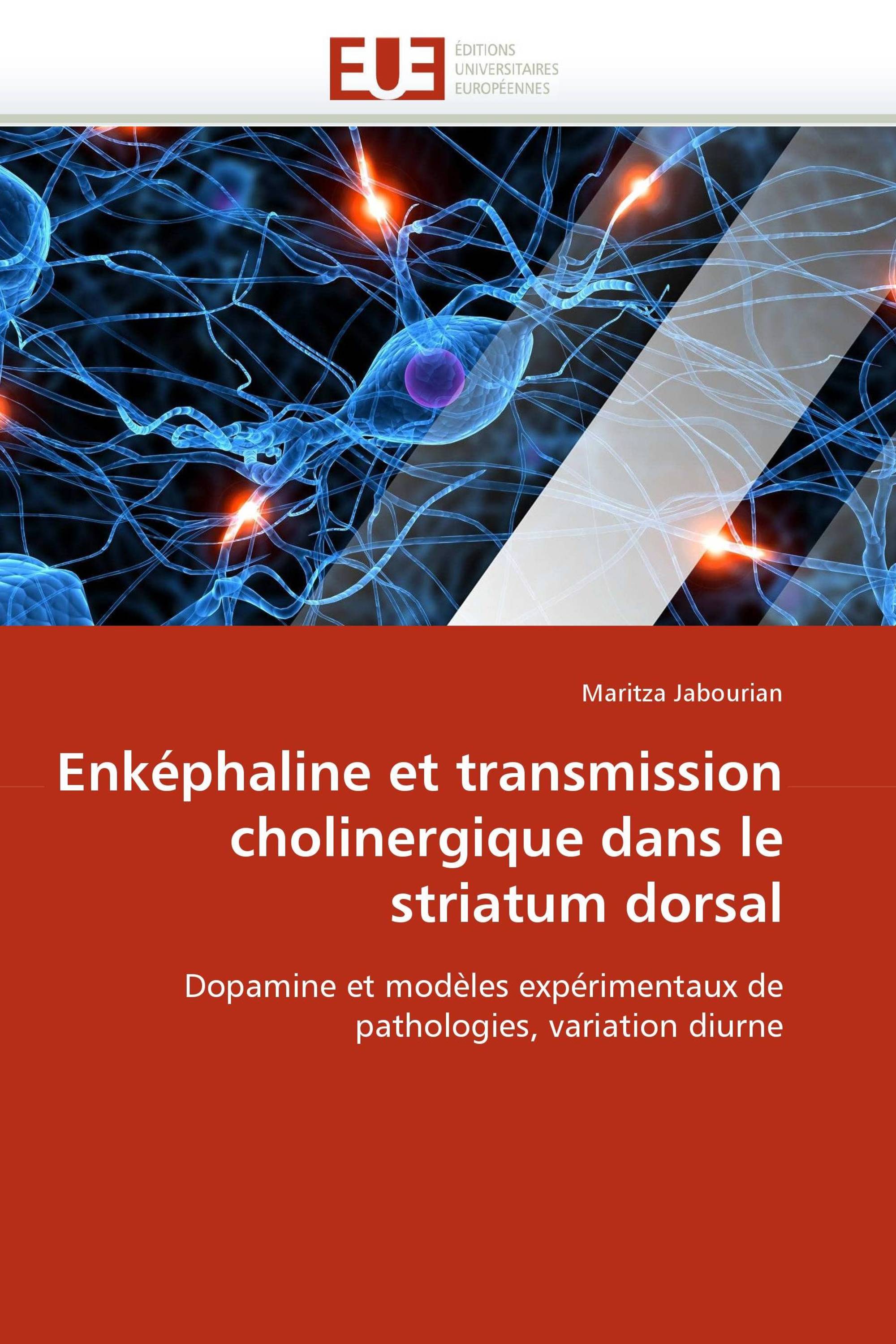 Enképhaline et transmission cholinergique dans le striatum dorsal