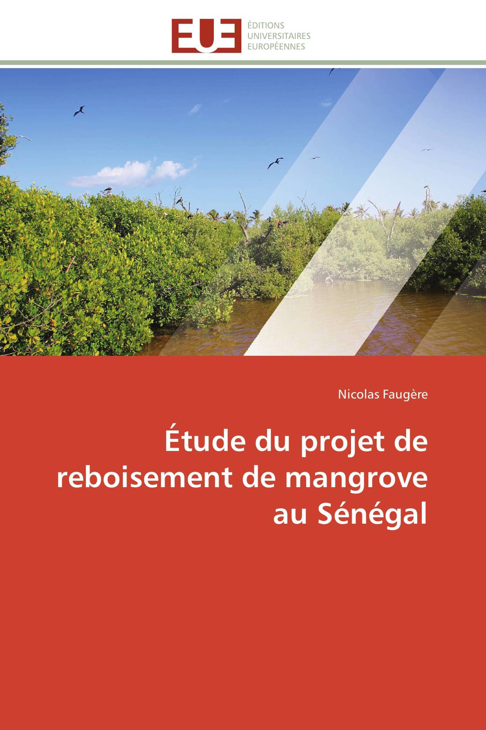 Étude du projet de reboisement de mangrove au Sénégal