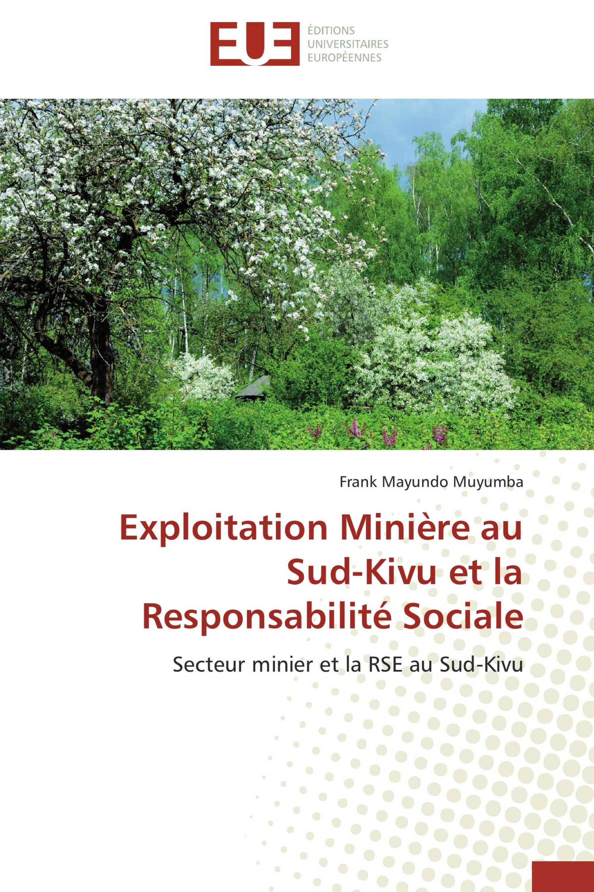 Exploitation Minière au Sud-Kivu et la Responsabilité Sociale