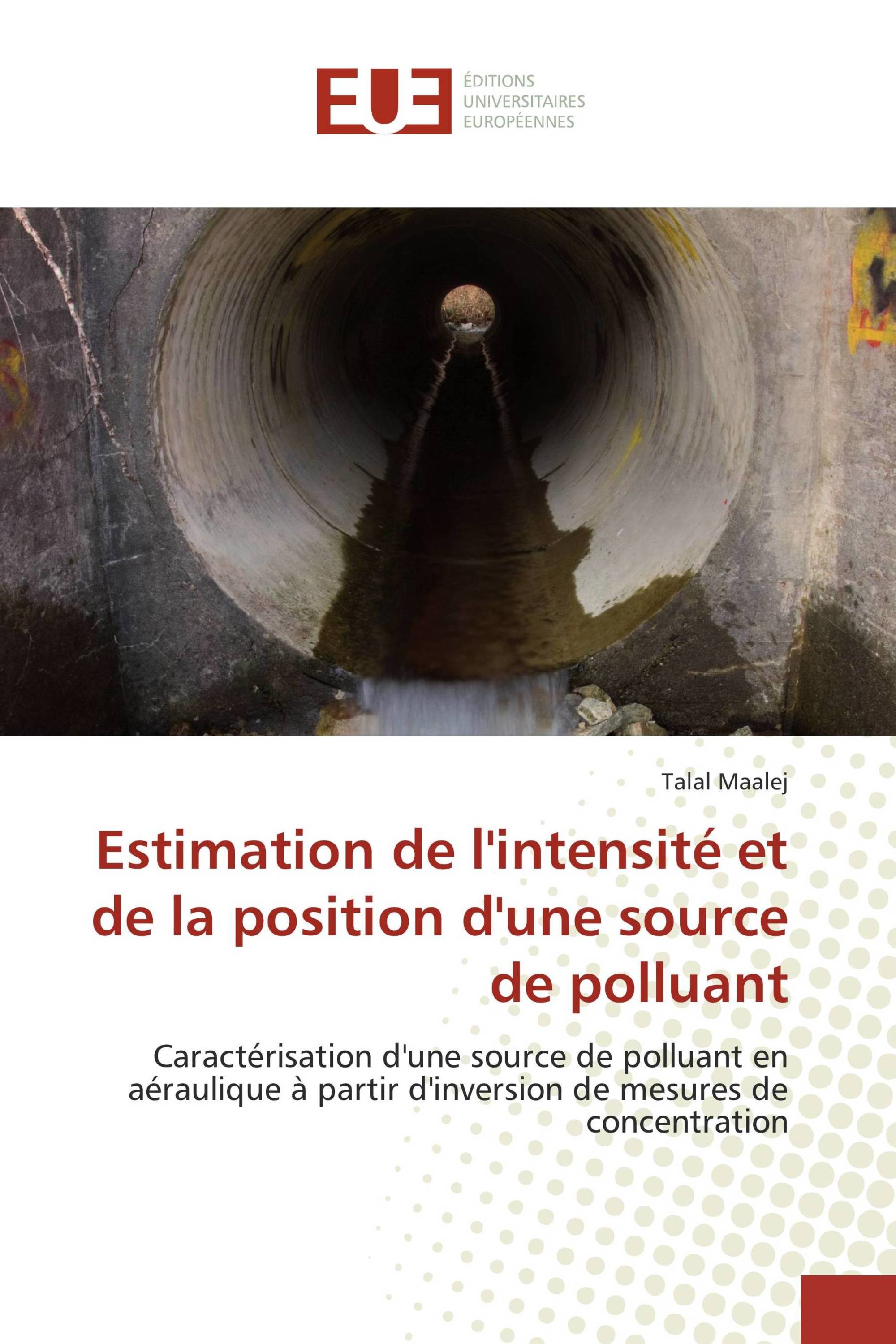 Estimation de l'intensité et de la position d'une source de polluant