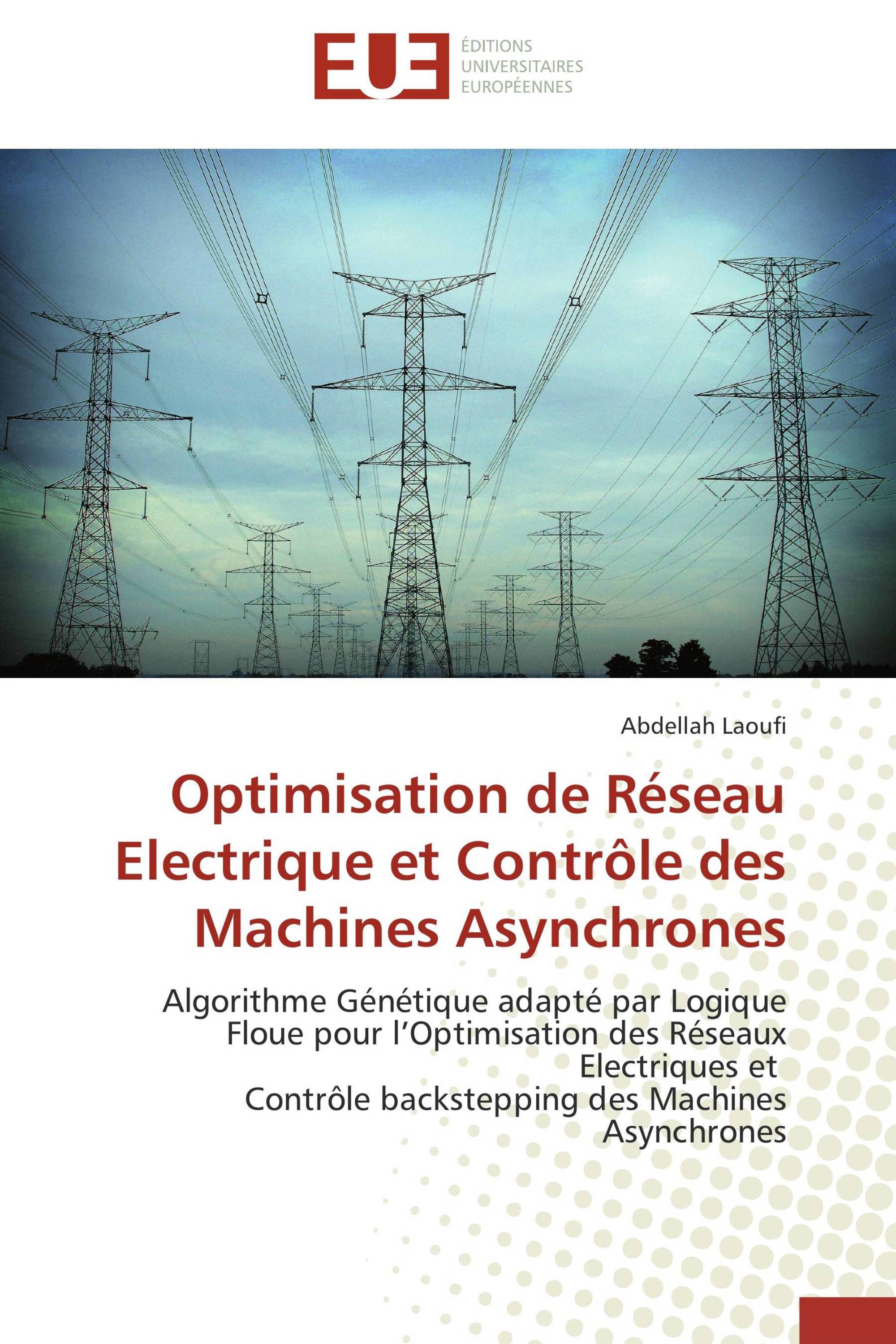 Optimisation de Réseau Electrique et Contrôle des Machines Asynchrones