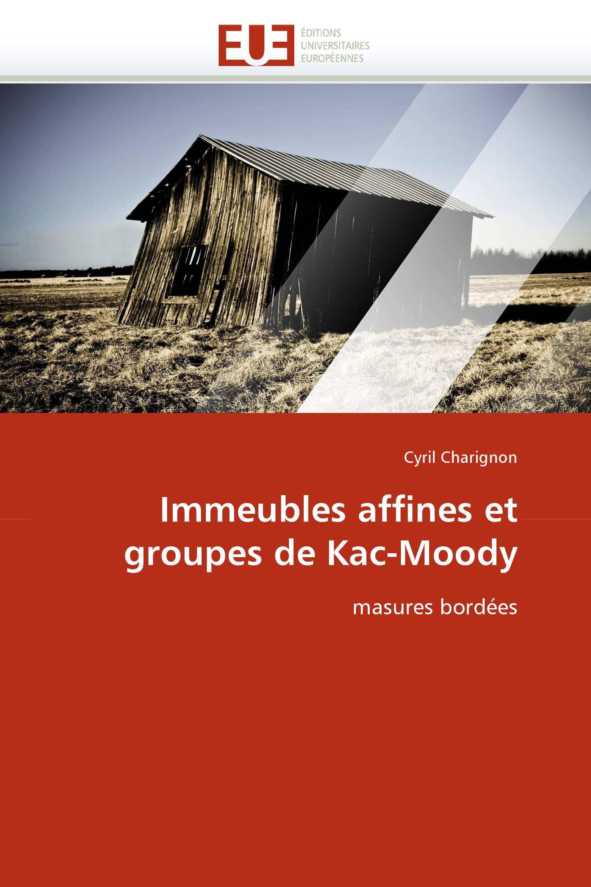 Immeubles affines et groupes de Kac-Moody