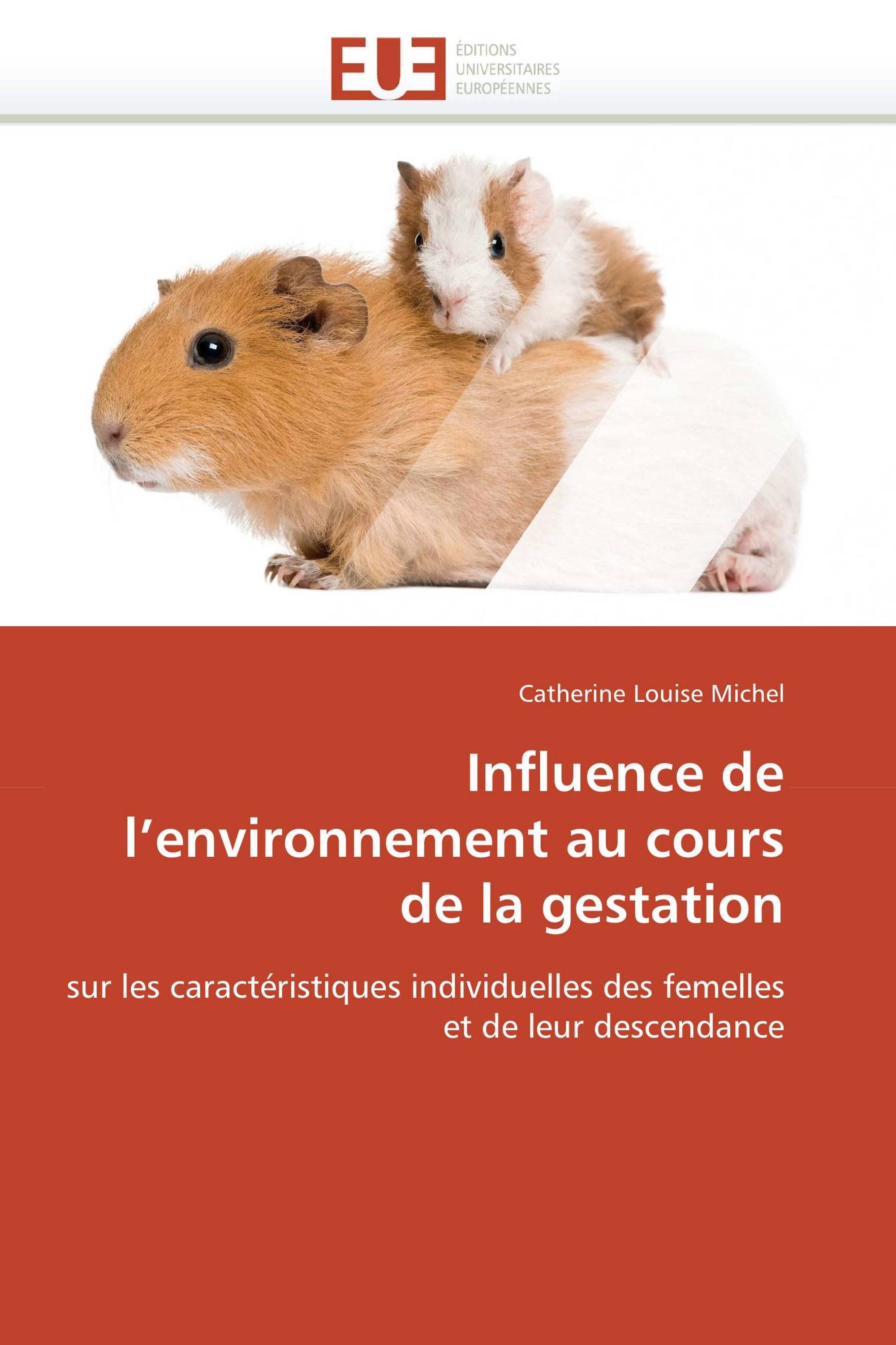 Influence de l’environnement au cours de la gestation